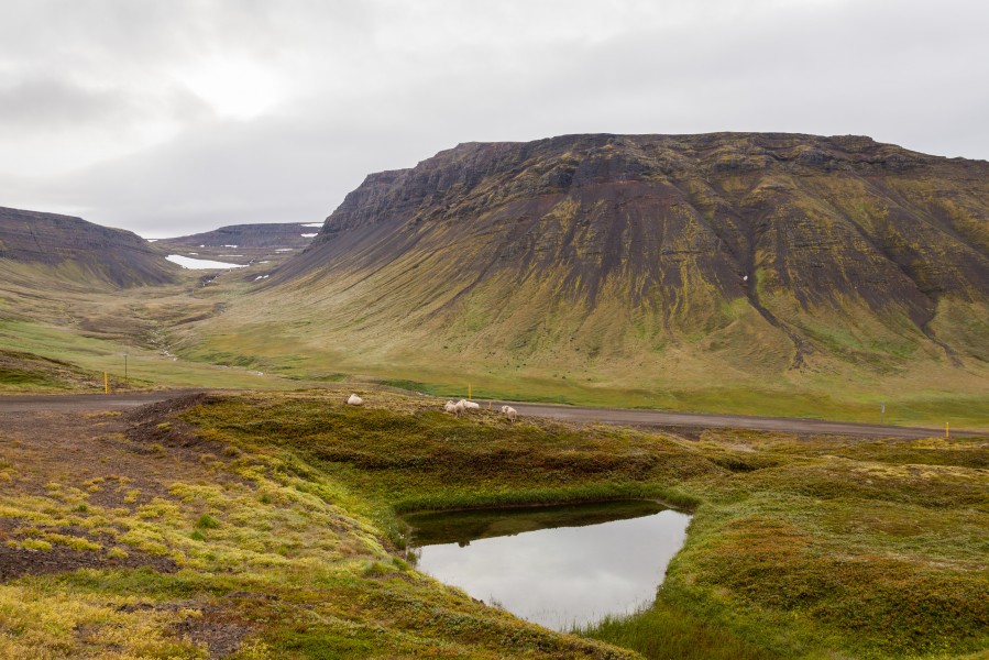 Hrafnseyrarheiði, Vestfirðir, Islandia, 2014-08-15, DD 025
