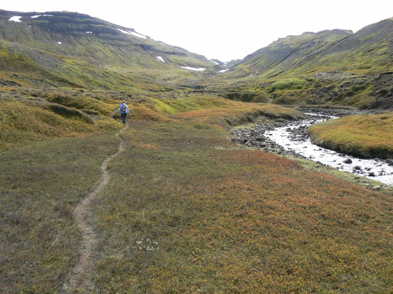 Iceland trail