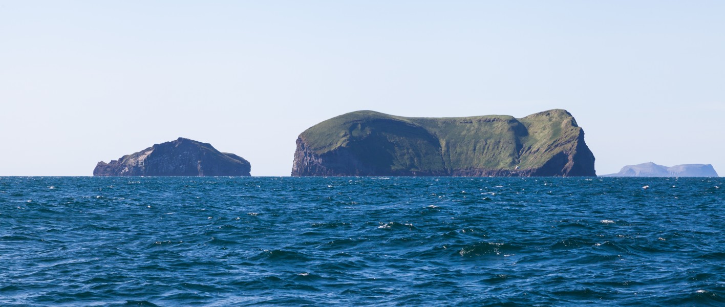 Islas Brandur, Álsey y Surtsey, Islas Vestman, Suðurland, Islandia, 2014-08-17, DD 046