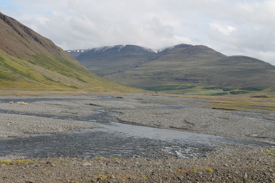 Norðurá í Skagafirði