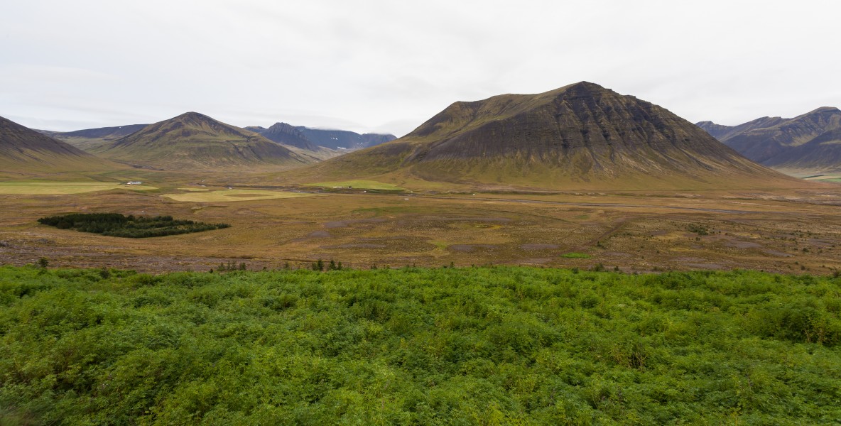 Paisaje cerca de Þingeyri, Vestfirðir, Islandia, 2014-08-15, DD 015