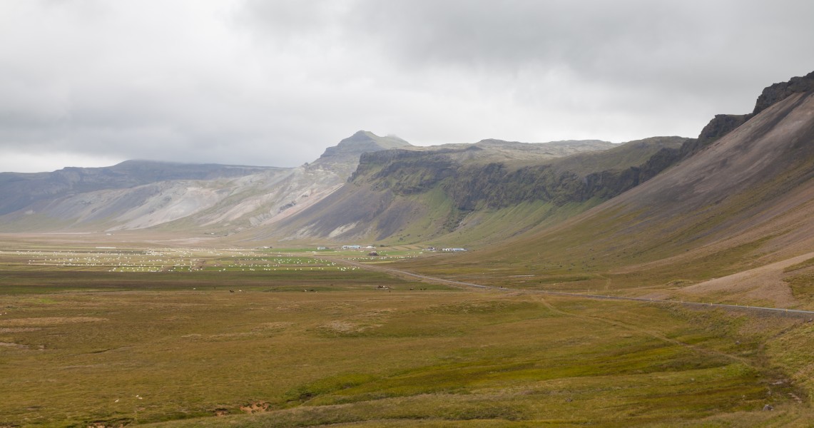 Región de Búðahraun, Vesturland, Islandia, 2014-08-14, DD 042