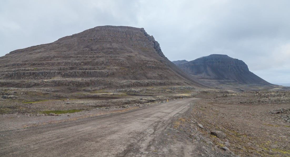 Reserva natural de Vatnsfjörður, Vestfirðir, Islandia, 2014-08-14, DD 113