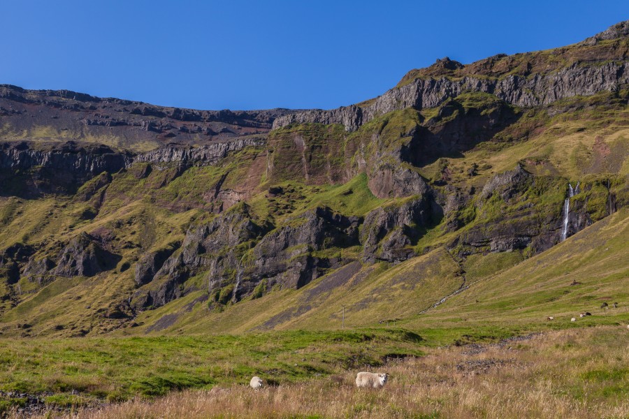 Storhofthi, Suðurland, Islandia, 2014-08-17, DD 121
