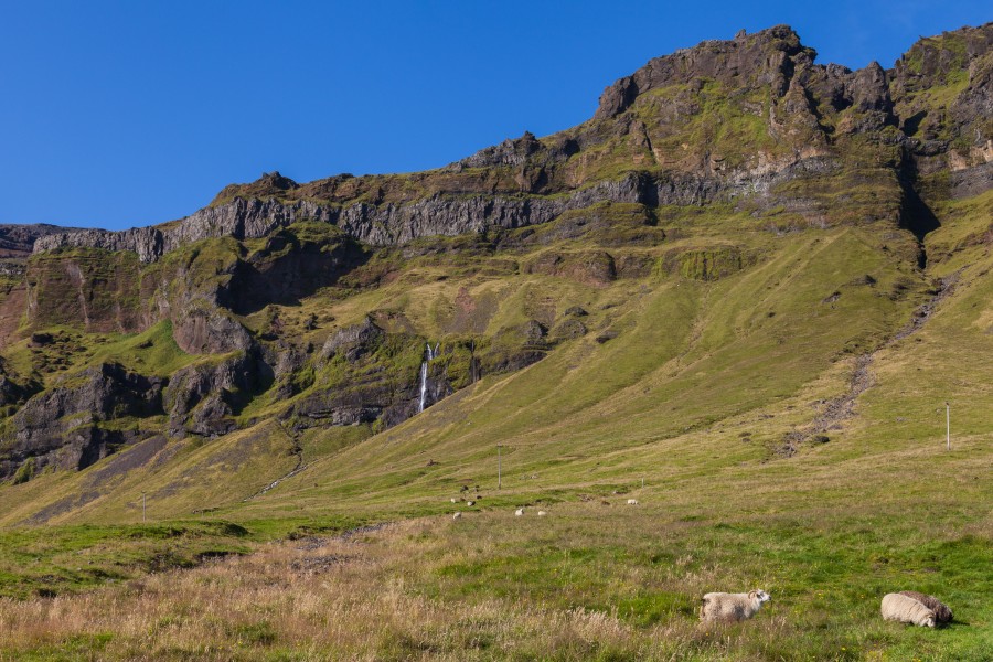 Storhofthi, Suðurland, Islandia, 2014-08-17, DD 123