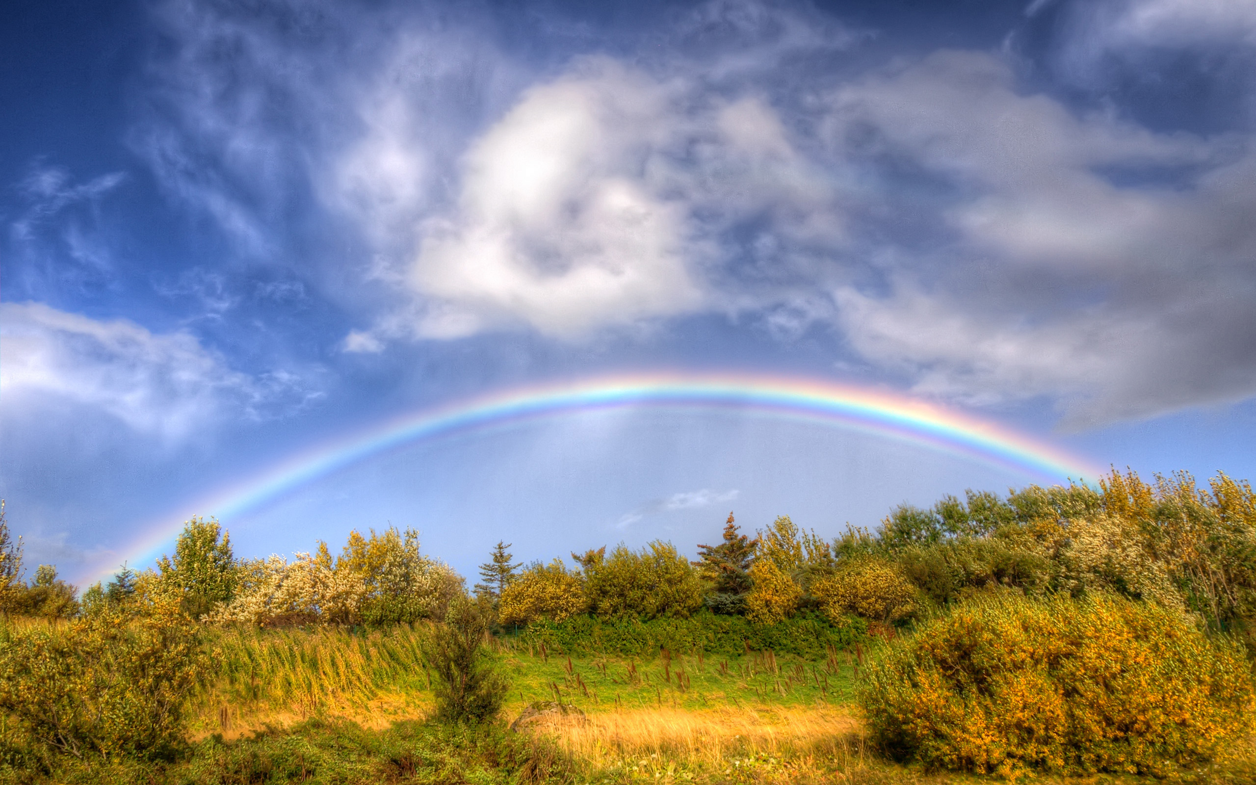 Rainbow (5033110463)
