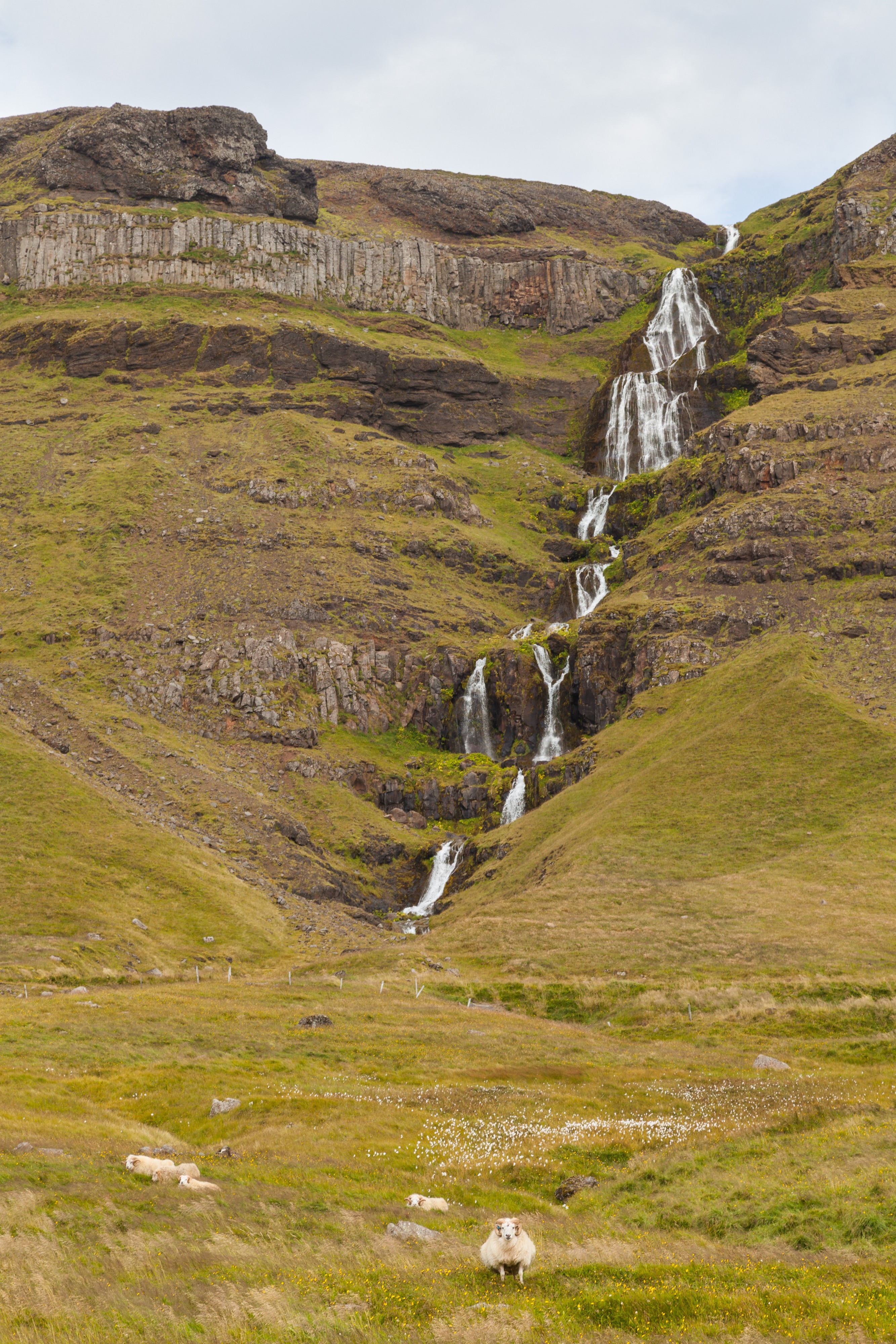 Búlandshöfði, Vesturland, Islandia, 2014-08-14, DD 078