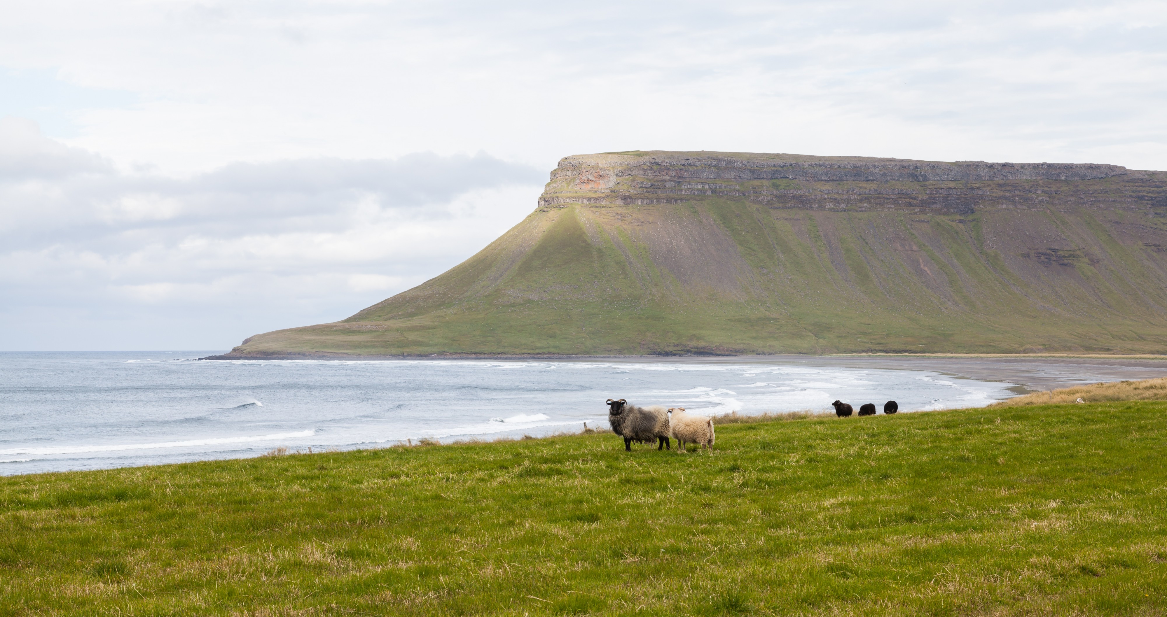 Búlandshöfði, Vesturland, Islandia, 2014-08-14, DD 083