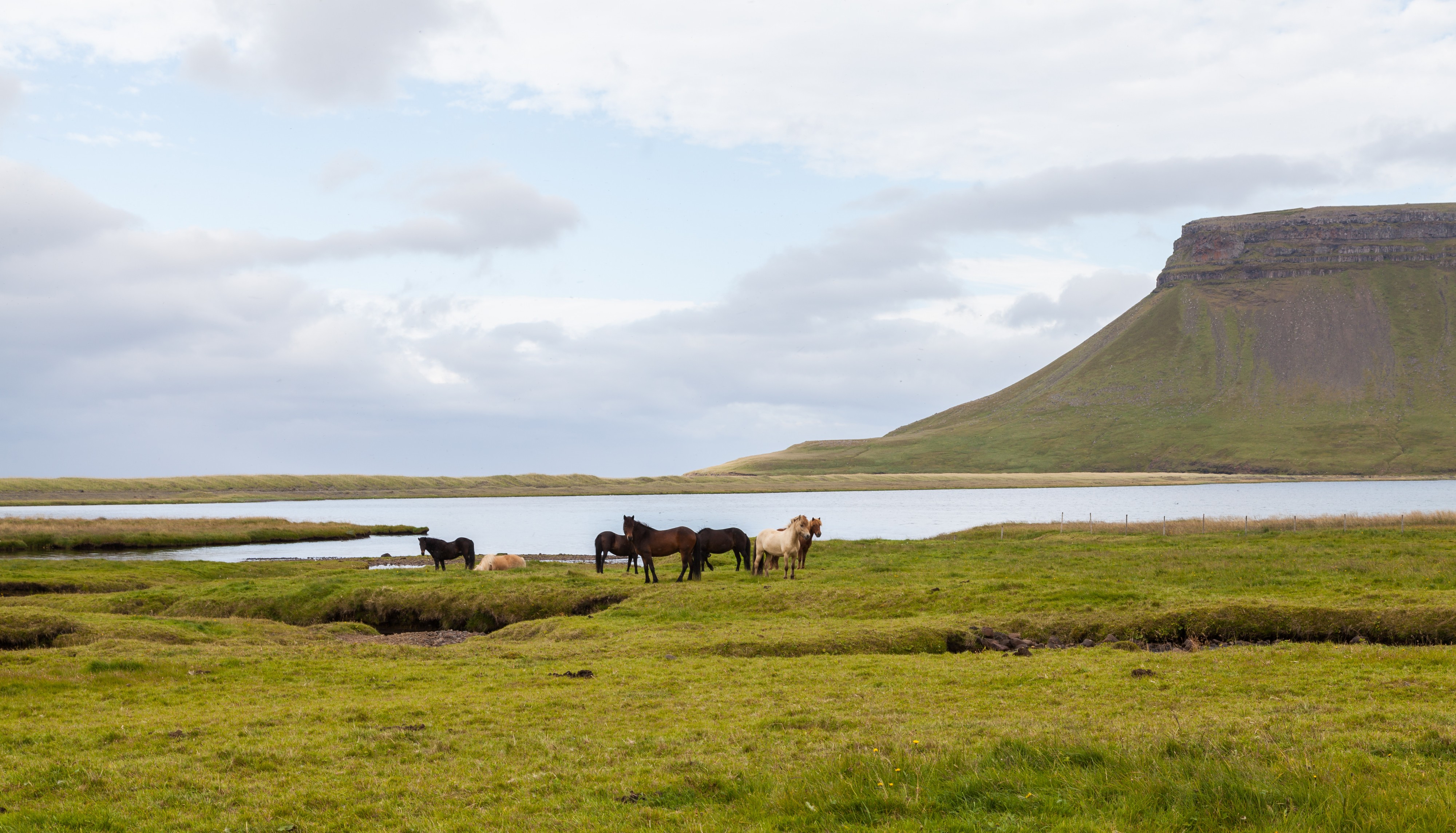Búlandshöfði, Vesturland, Islandia, 2014-08-14, DD 084