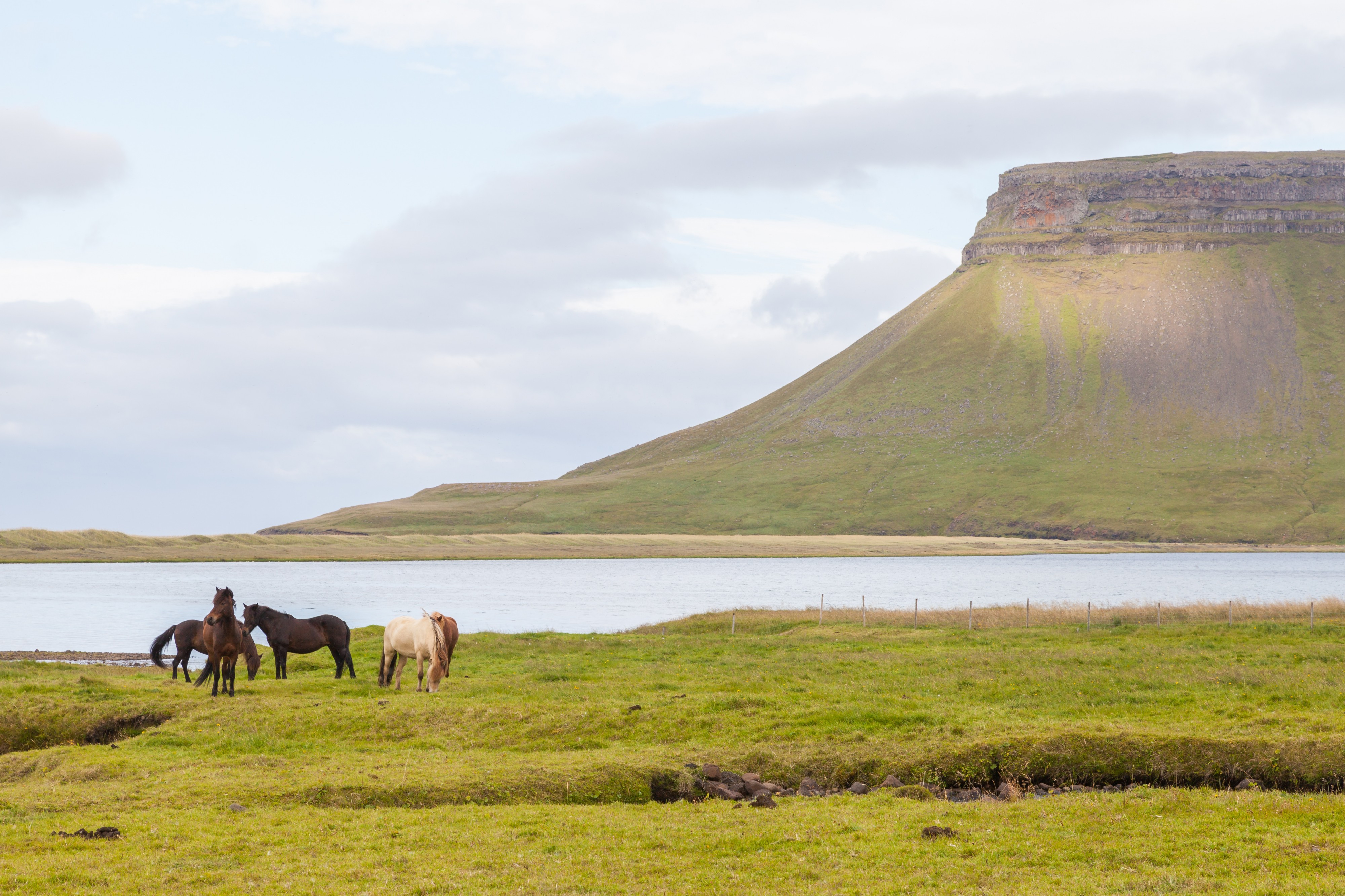 Búlandshöfði, Vesturland, Islandia, 2014-08-14, DD 085