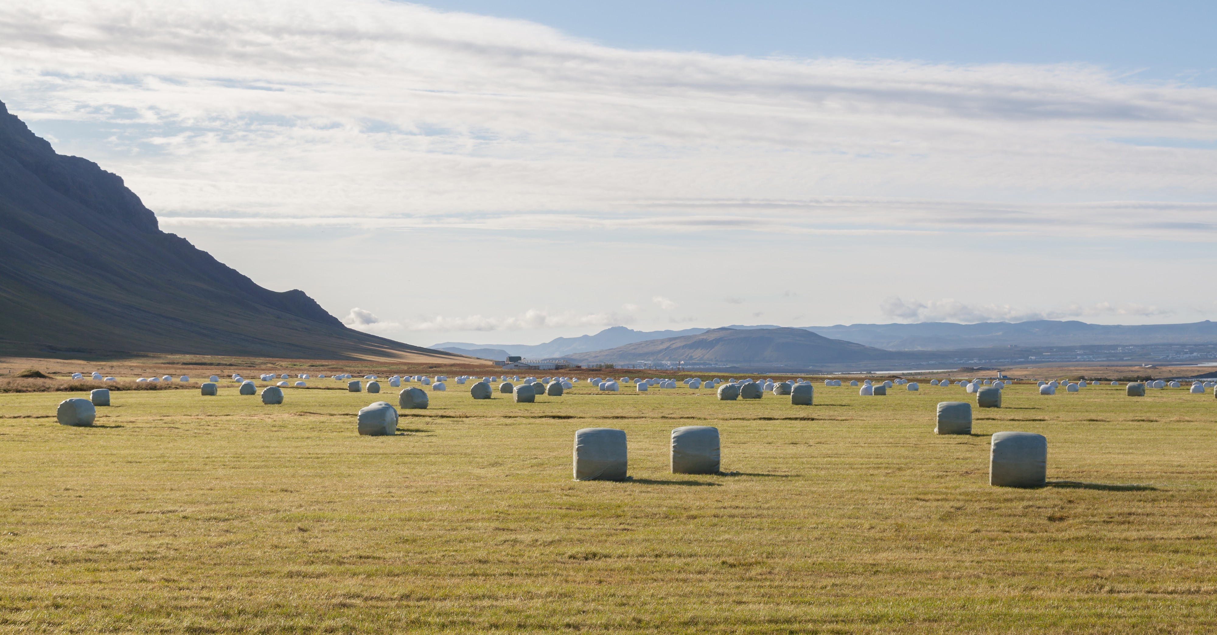 Balas de paja, Akranes, Vesturland, Islandia, 2014-08-14, DD 001