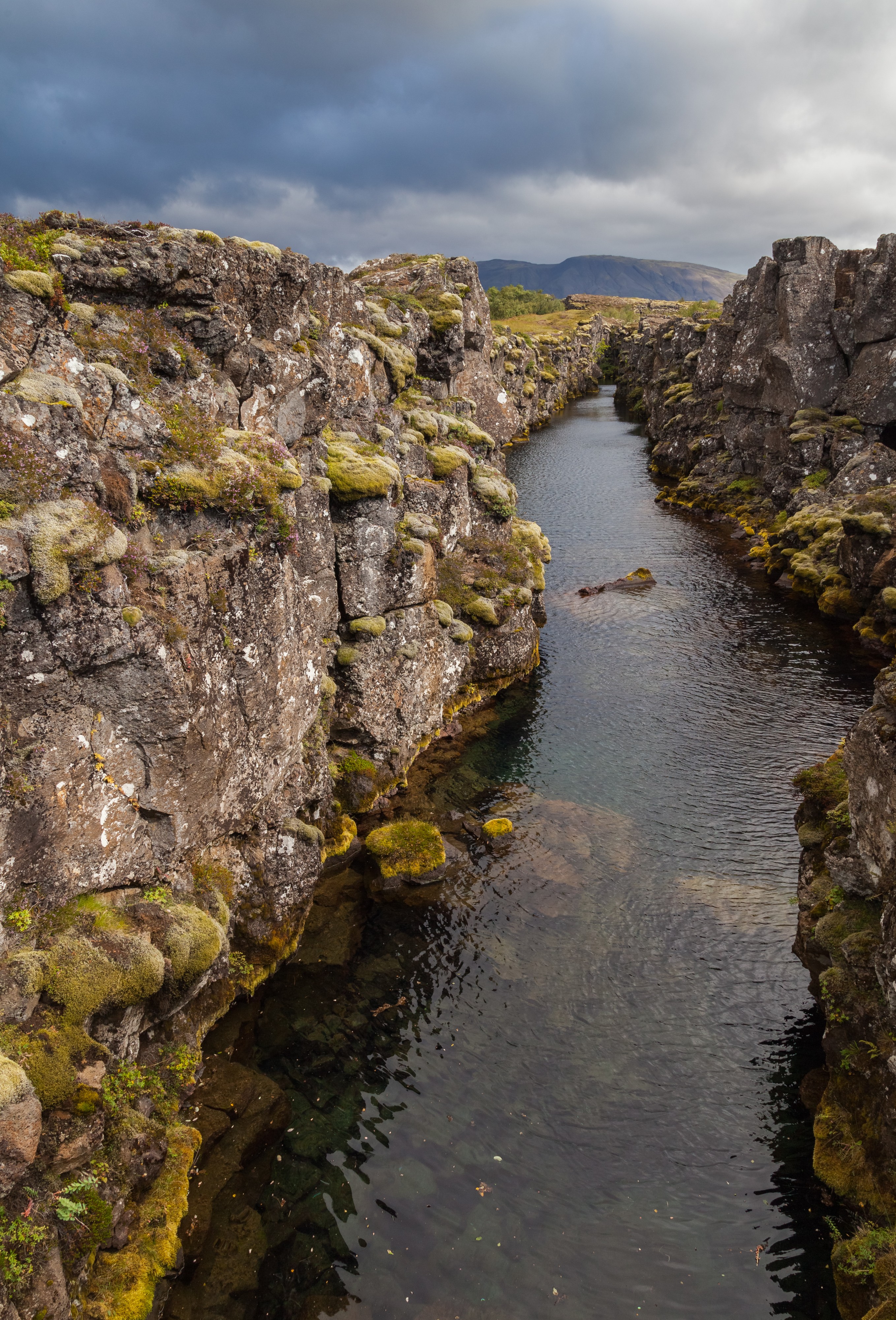 Cañón Nikulasargja, Parque Nacional de Þingvellir, Suðurland, Islandia, 2014-08-16, DD 051