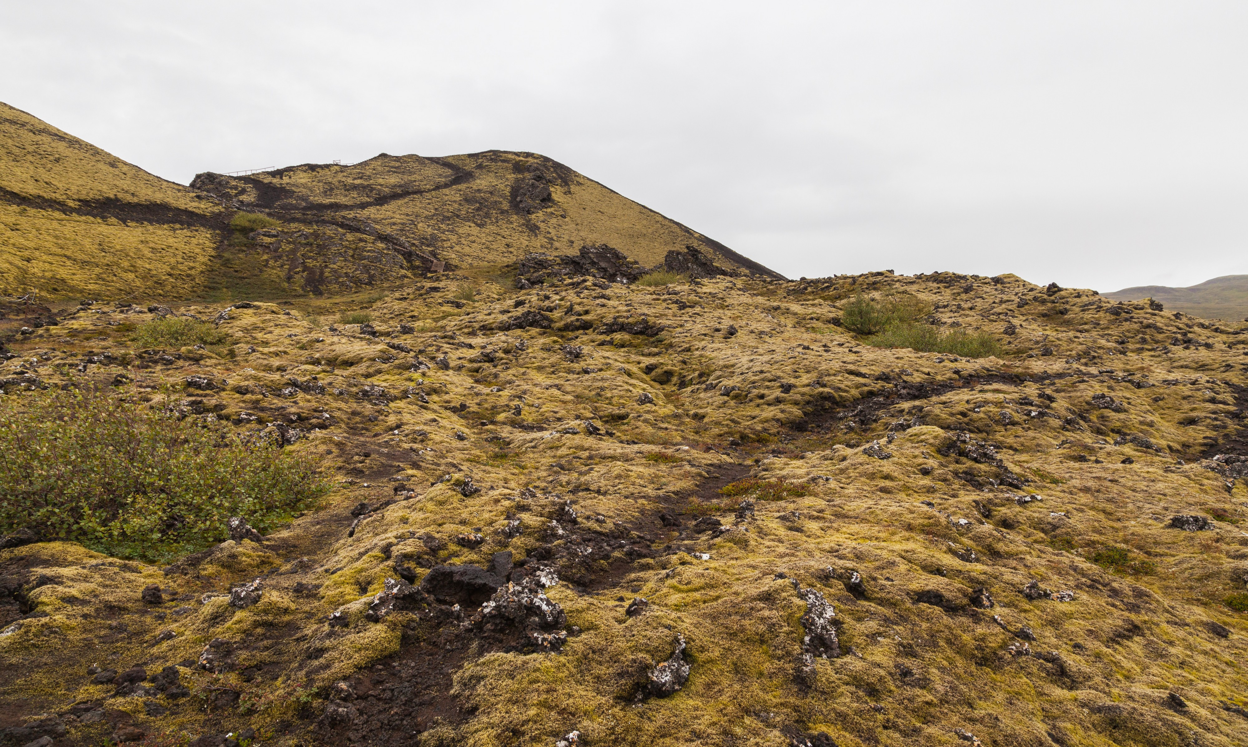Cráter Stóri Grábrók, Vesturland, Islandia, 2014-08-15, DD 099