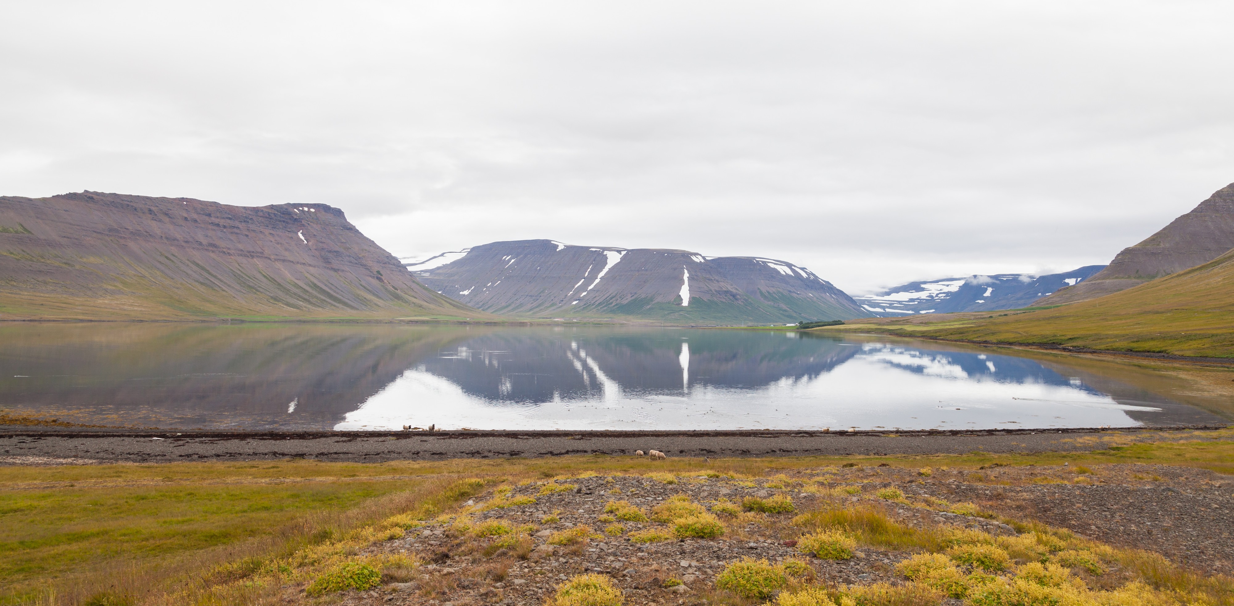 Dýrafjörður, Vestfirðir, Islandia, 2014-08-15, DD 032