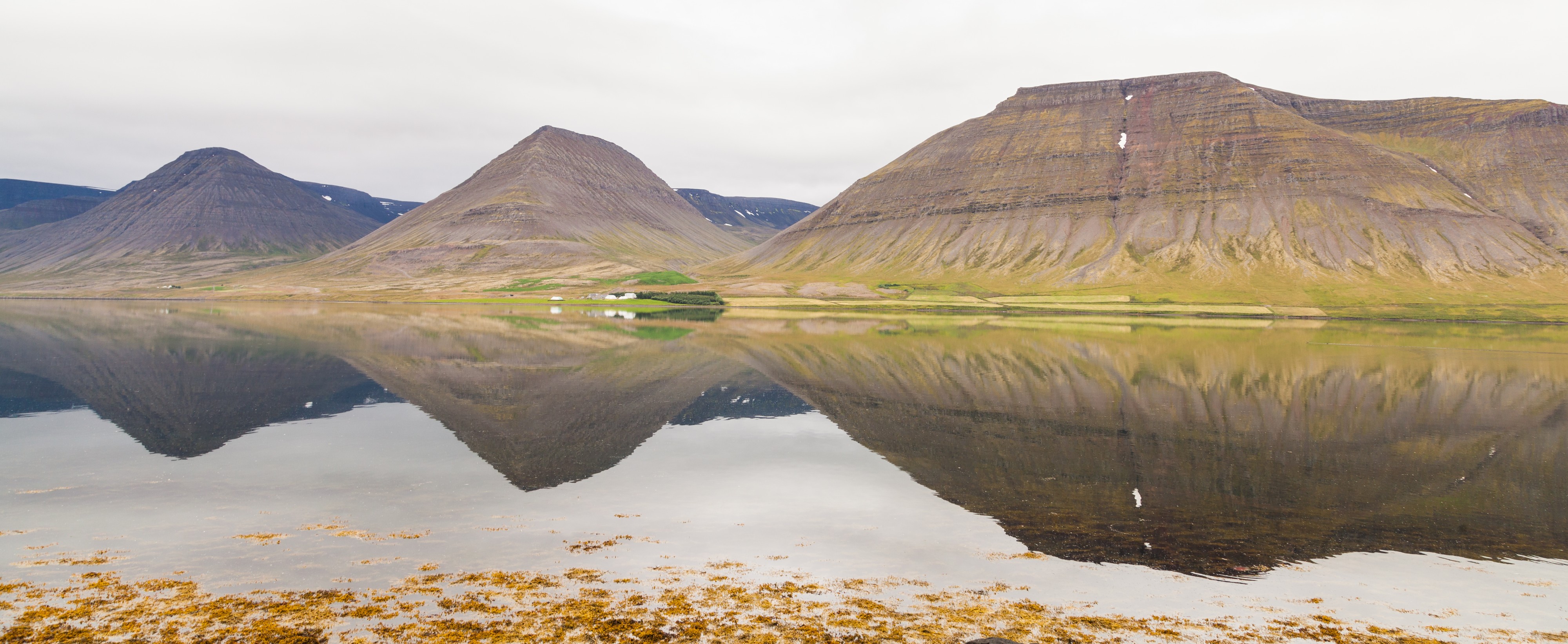 Dýrafjörður, Vestfirðir, Islandia, 2014-08-15, DD 038