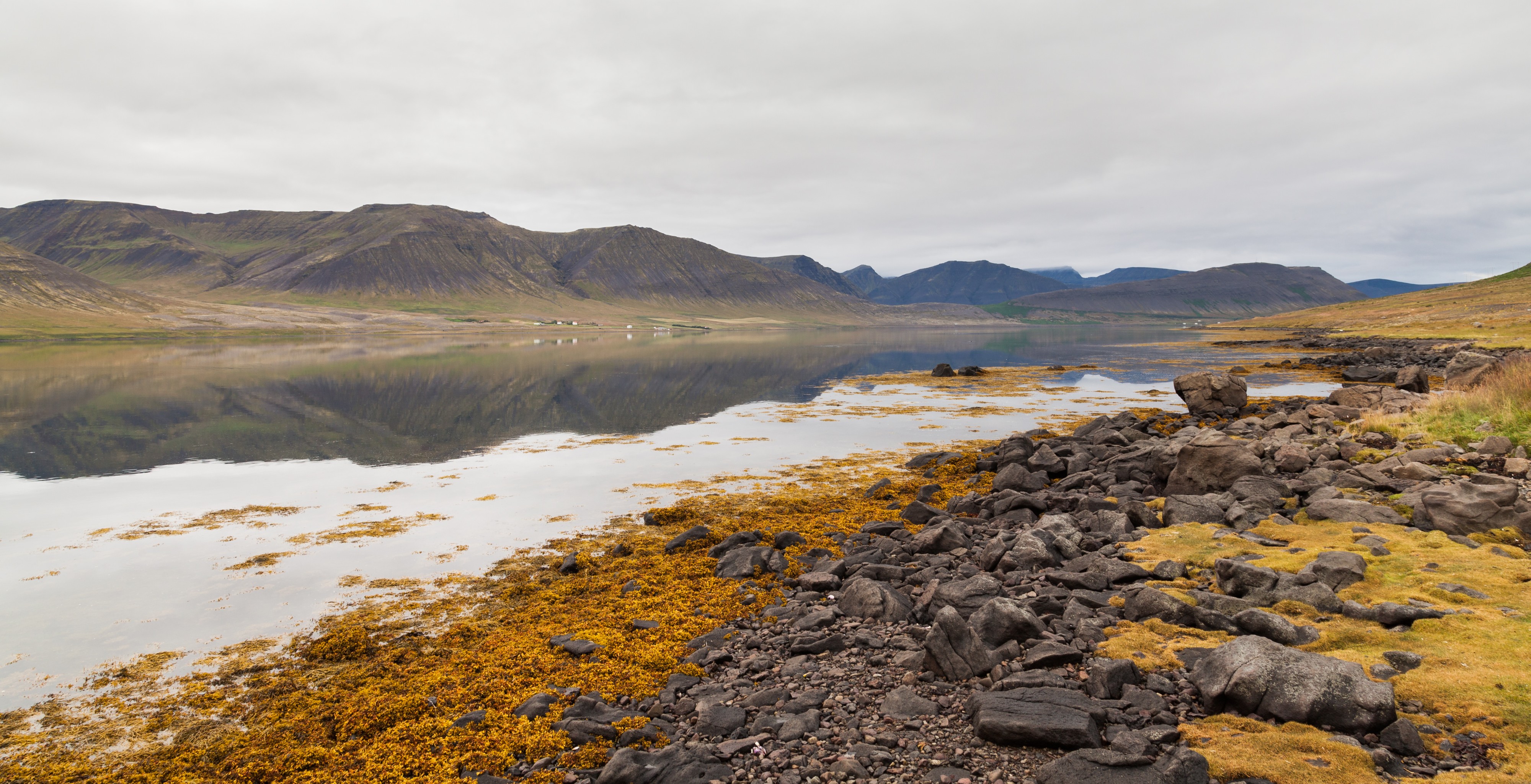Dýrafjörður, Vestfirðir, Islandia, 2014-08-15, DD 039