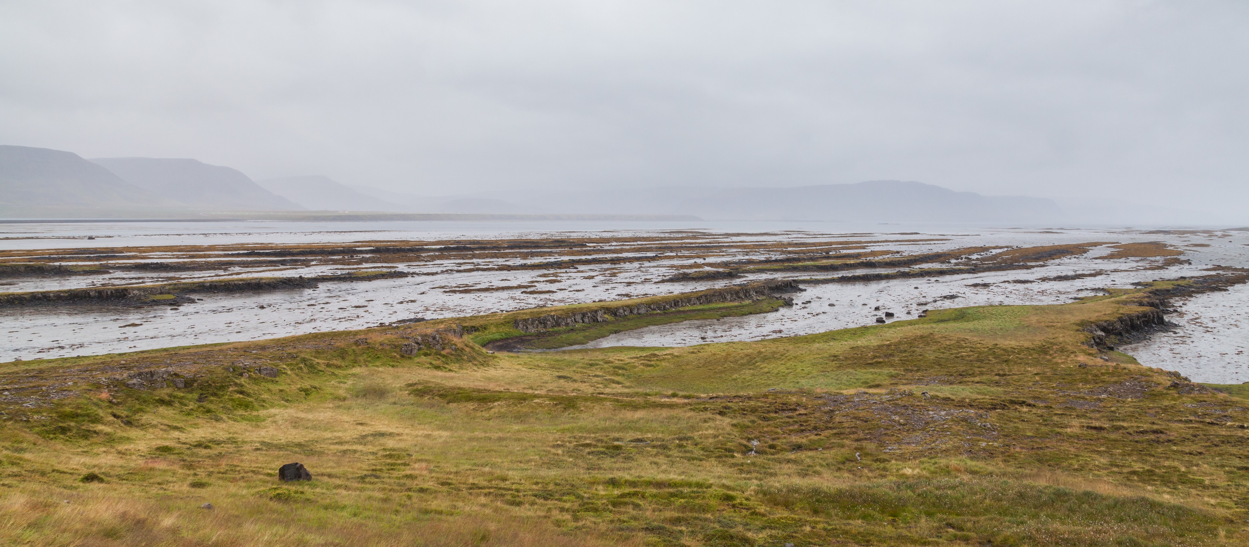 Hrútafjörður, Vestfirðir, Islandia, 2014-08-15, DD 077
