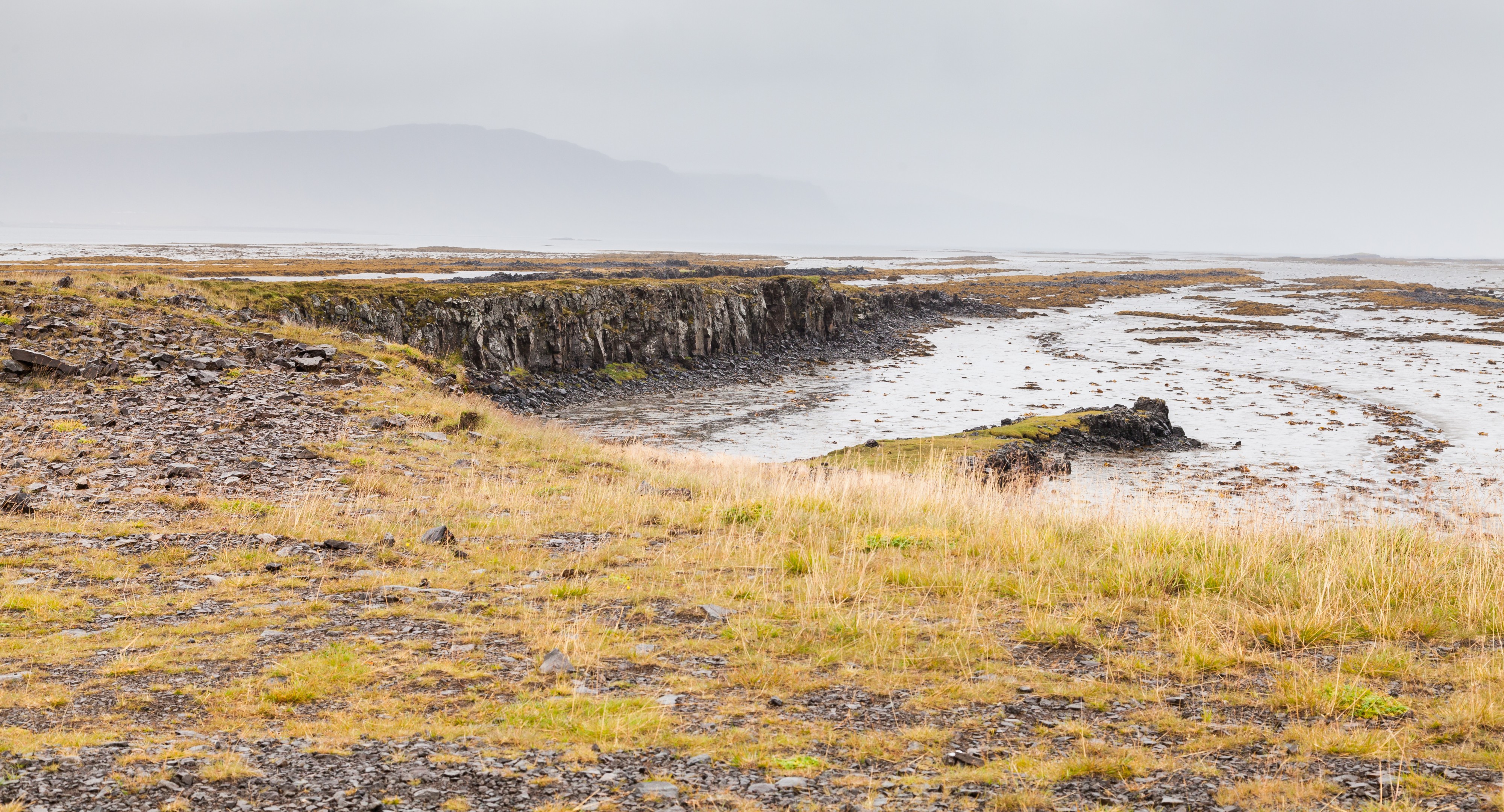 Hrútafjörður, Vestfirðir, Islandia, 2014-08-15, DD 078