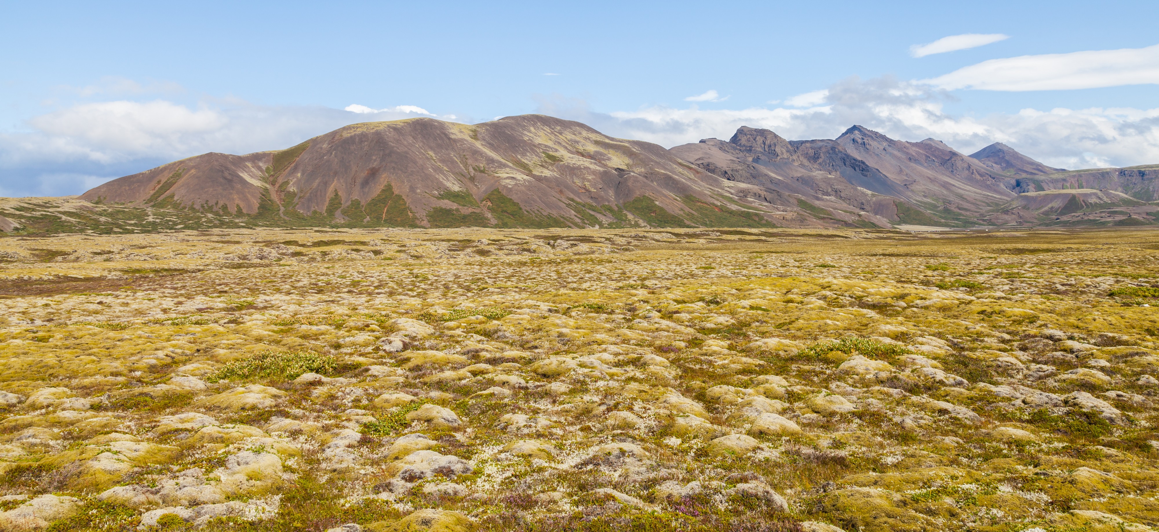 Paisaje cerca de Laugarvatn, Suðurland, Islandia, 2014-08-16, DD 072