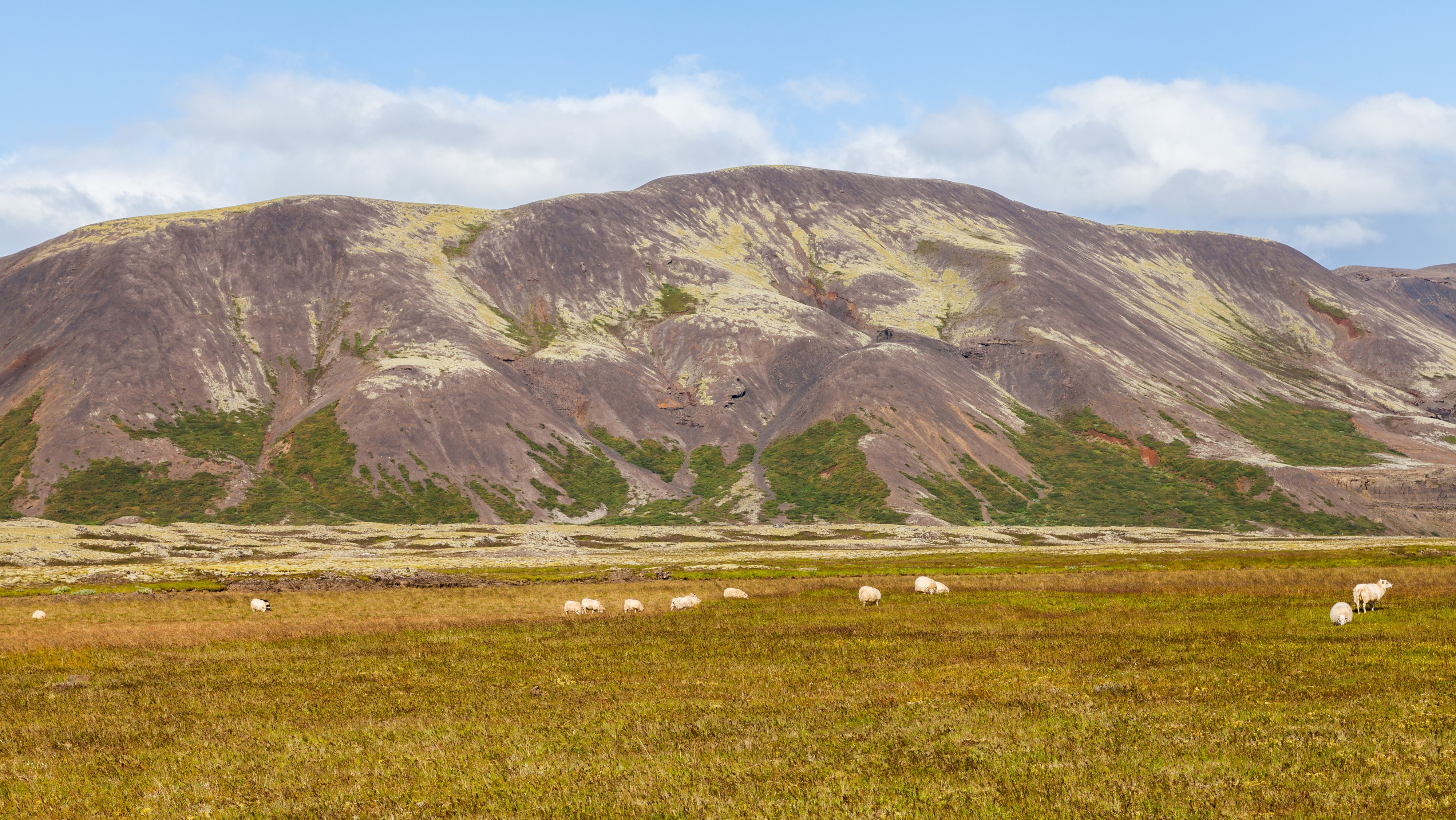 Paisaje cerca de Laugarvatn, Suðurland, Islandia, 2014-08-16, DD 073