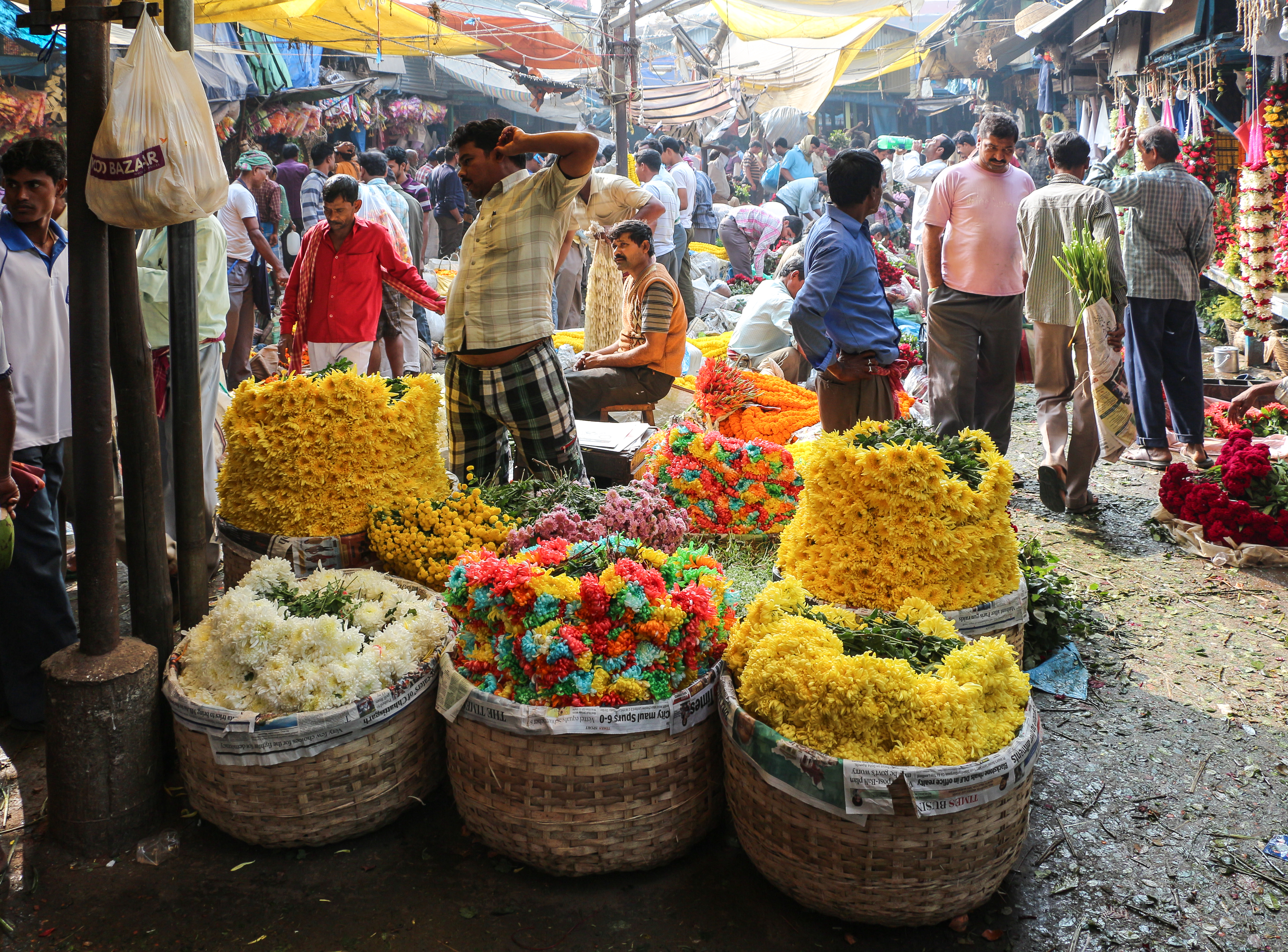 Mallick Ghat Flower Market, Kolkata 03