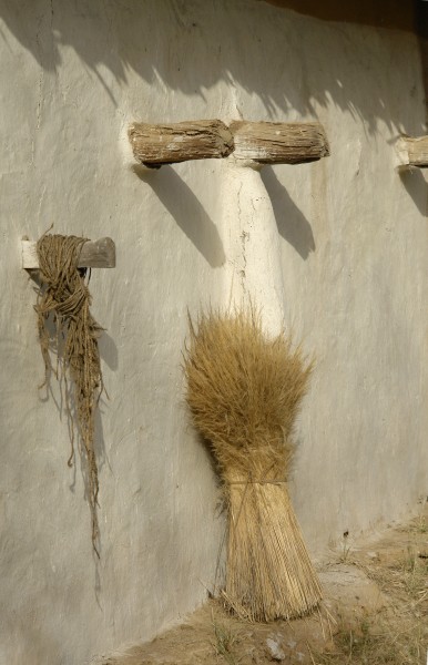 Adobe wall, Umaria district, MP, India