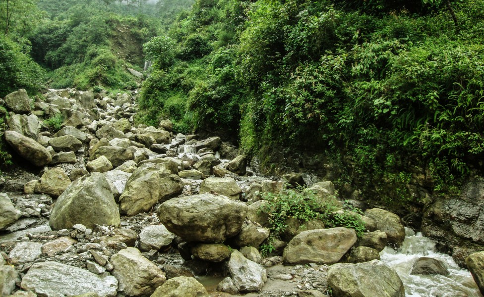 Rock Garden, Darjeeling 15-08-2011