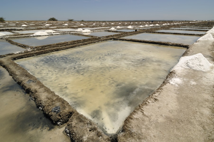 Salt pans in Marakkanam, India
