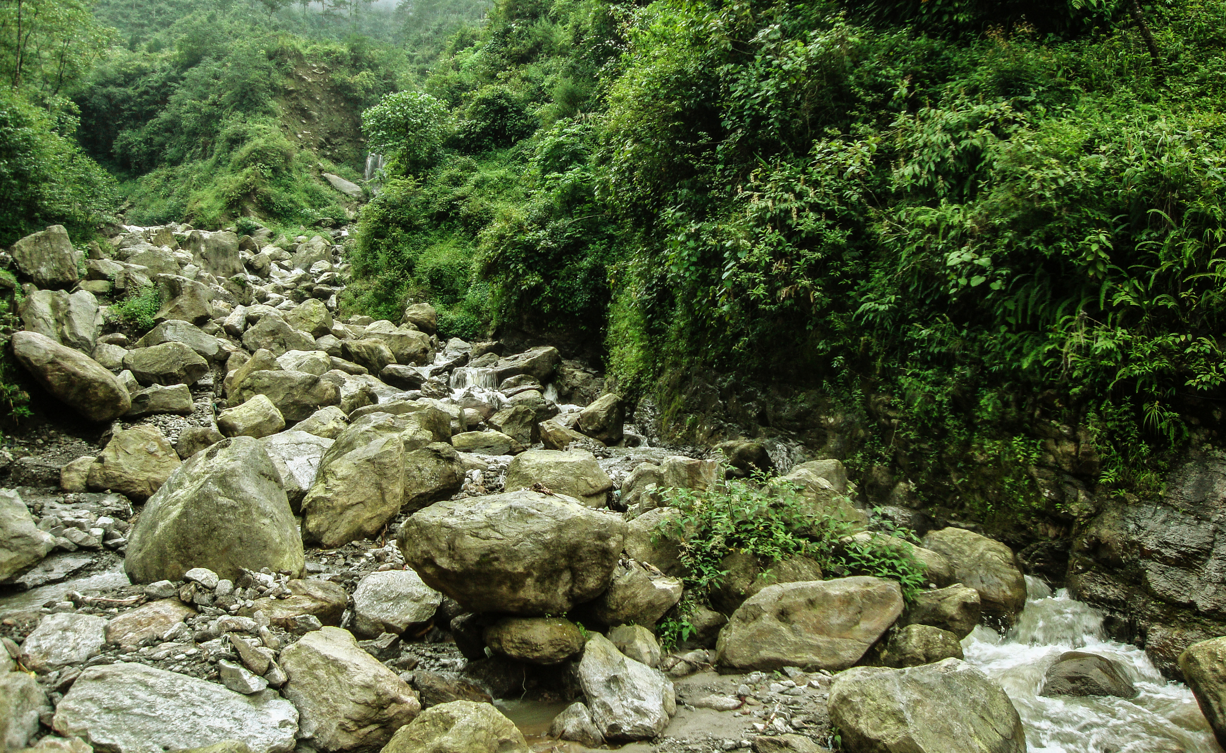 Rock Garden, Darjeeling 15-08-2011