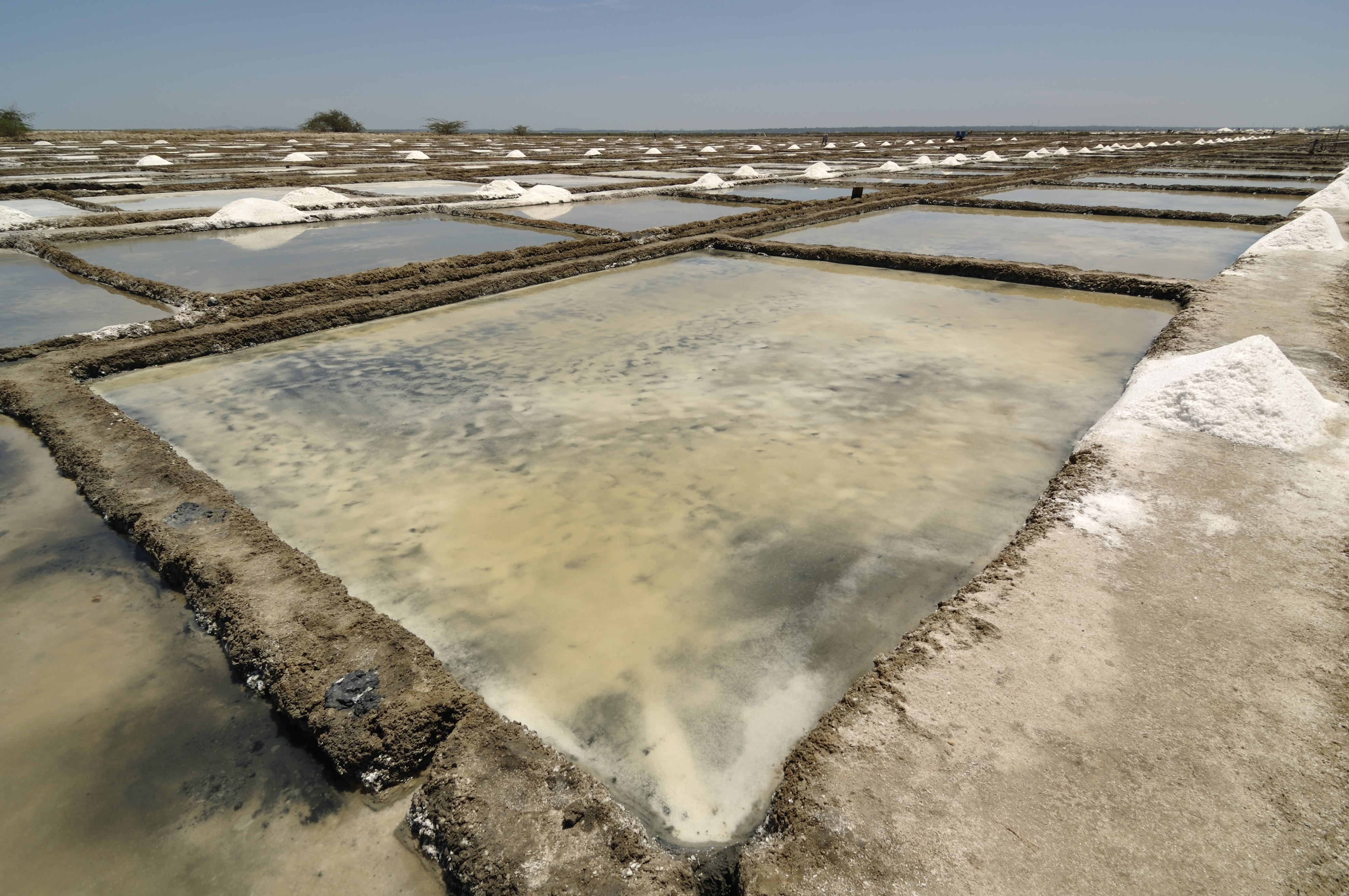 Salt pans in Marakkanam, India