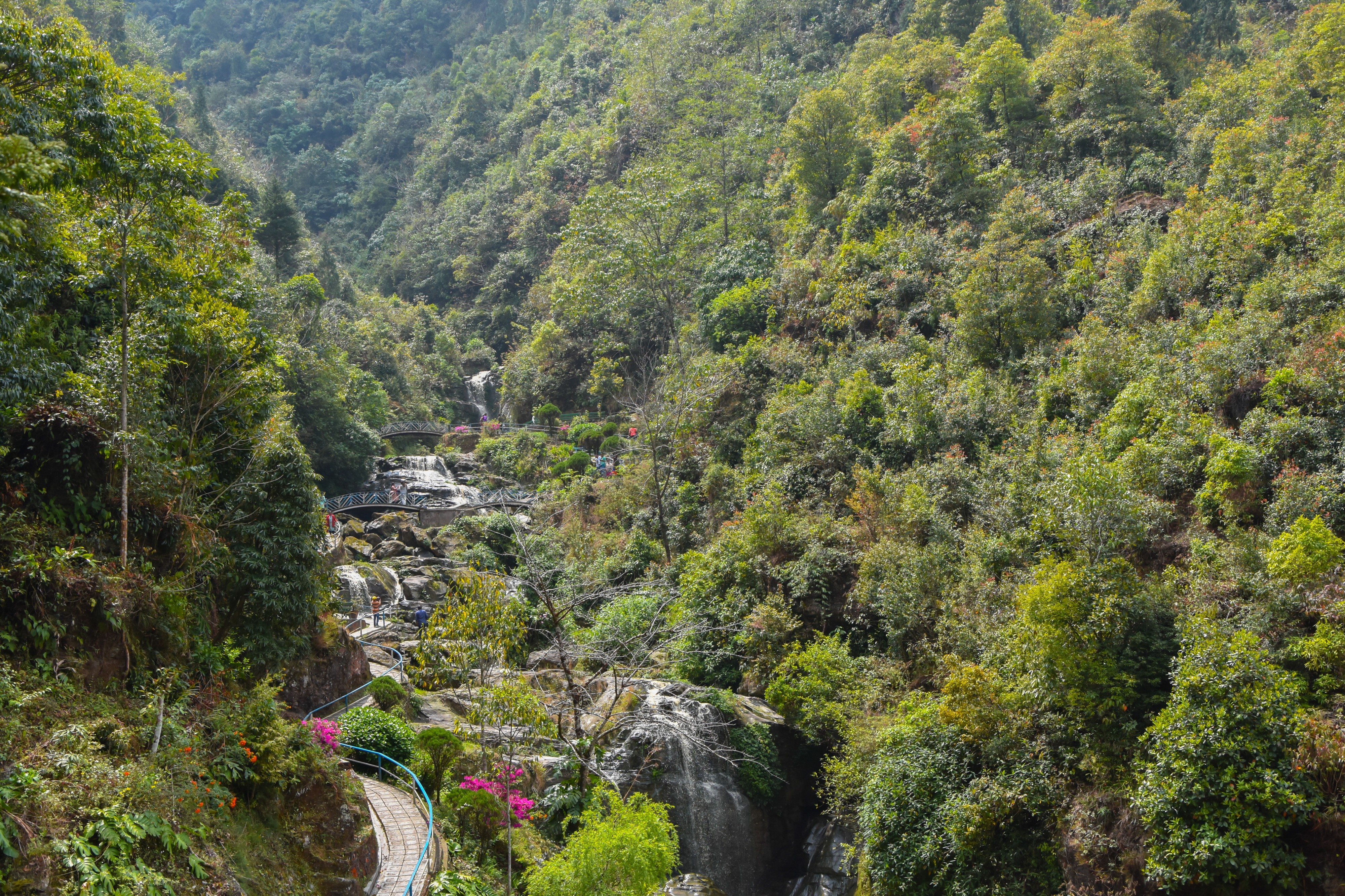 Barbotey Rock Garden, Darjeeling