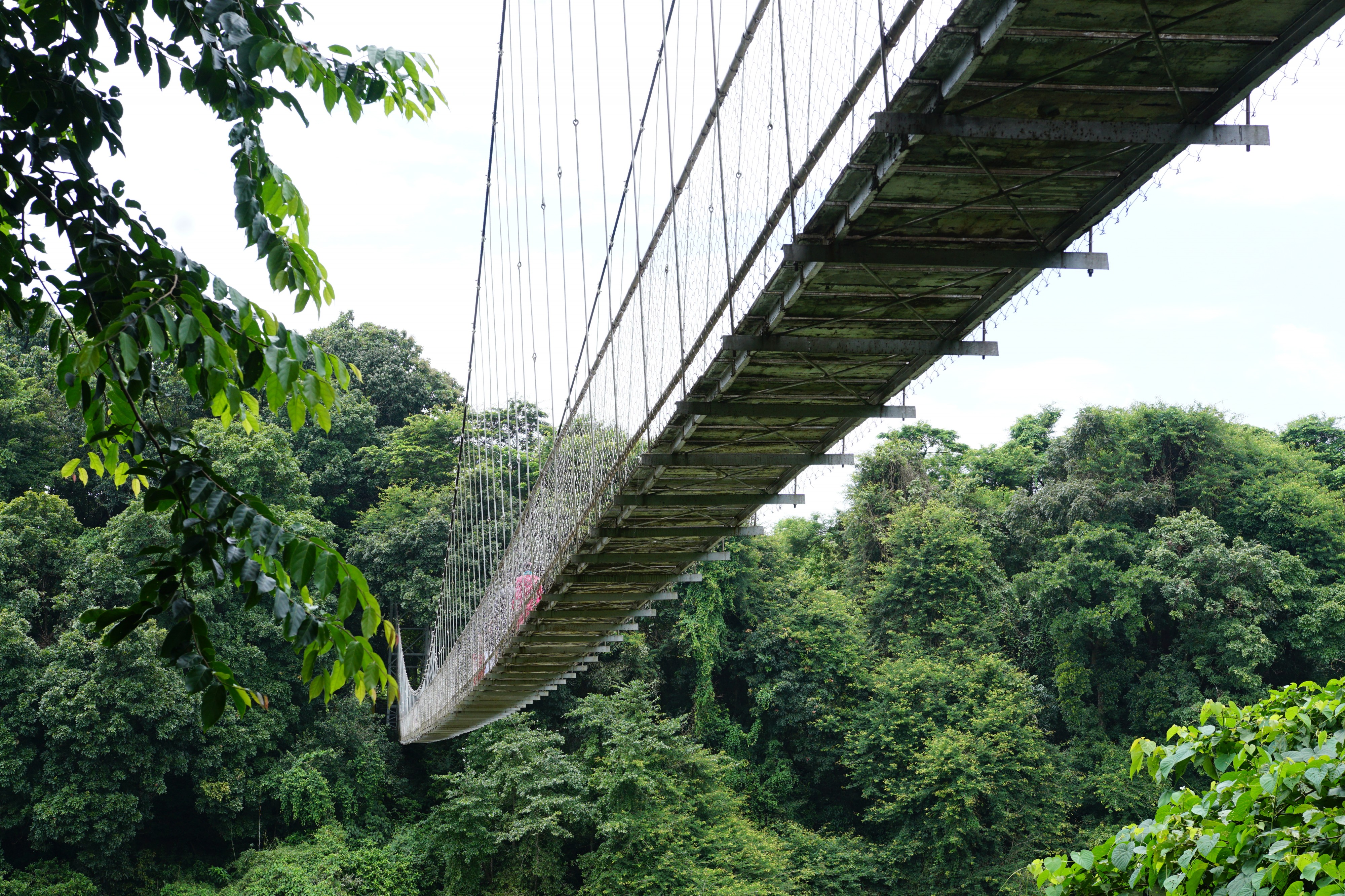 Nilambur hanging bridge 03729