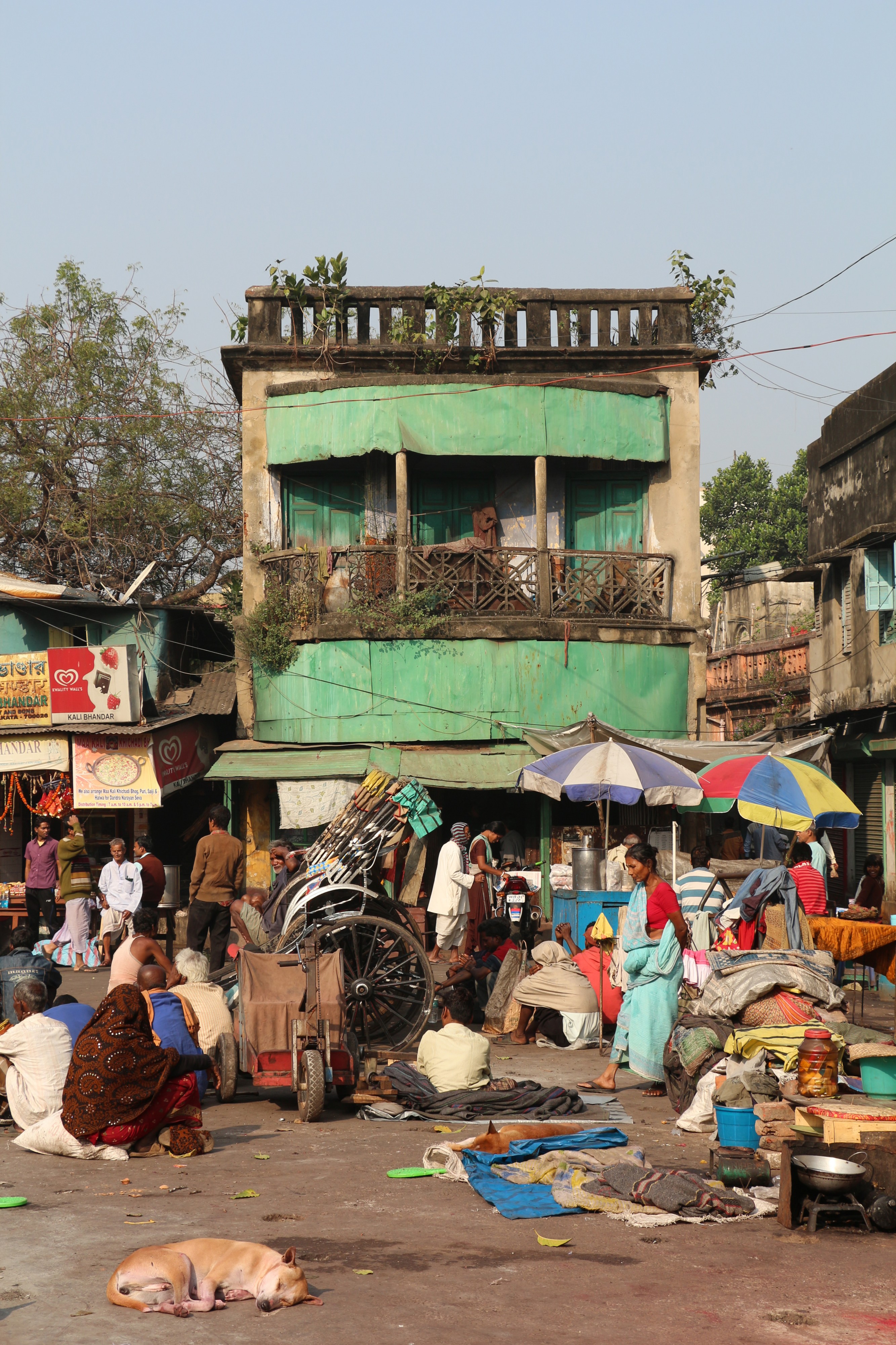 Street scene, Kalighat, Kolkata 01