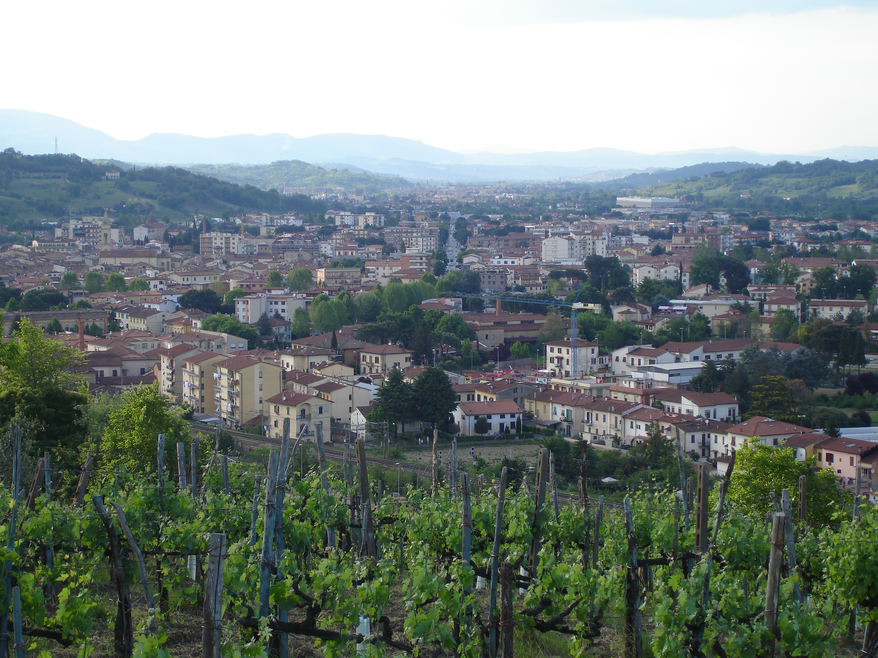 a panorama of Montevarchi 