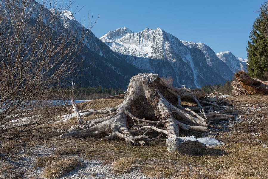 Lago del Predil Strunk und Monte Canin 10032015 0506