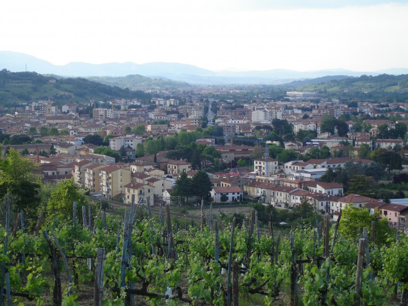 a panorama of Montevarchi 