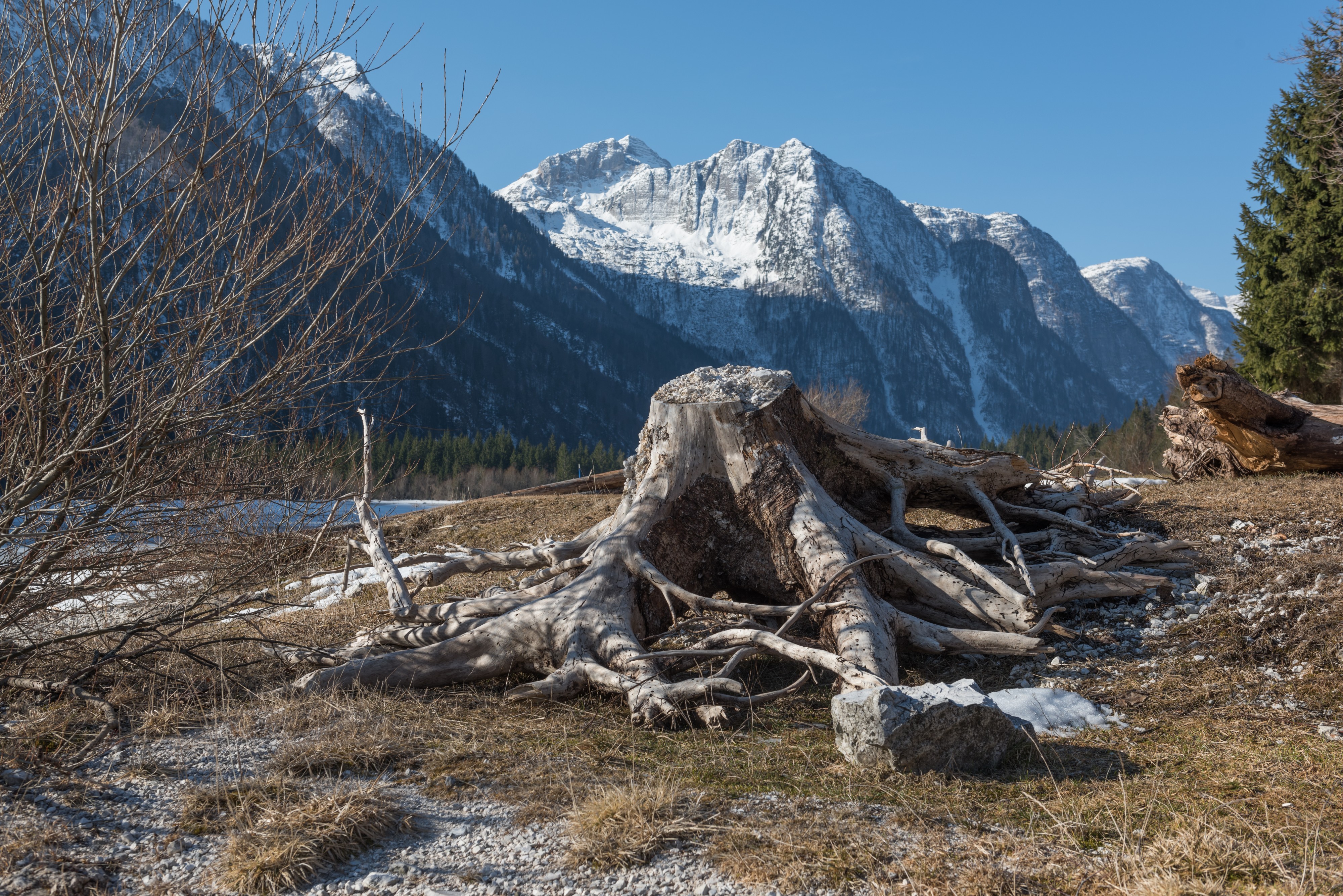 Lago del Predil Strunk und Monte Canin 10032015 0506