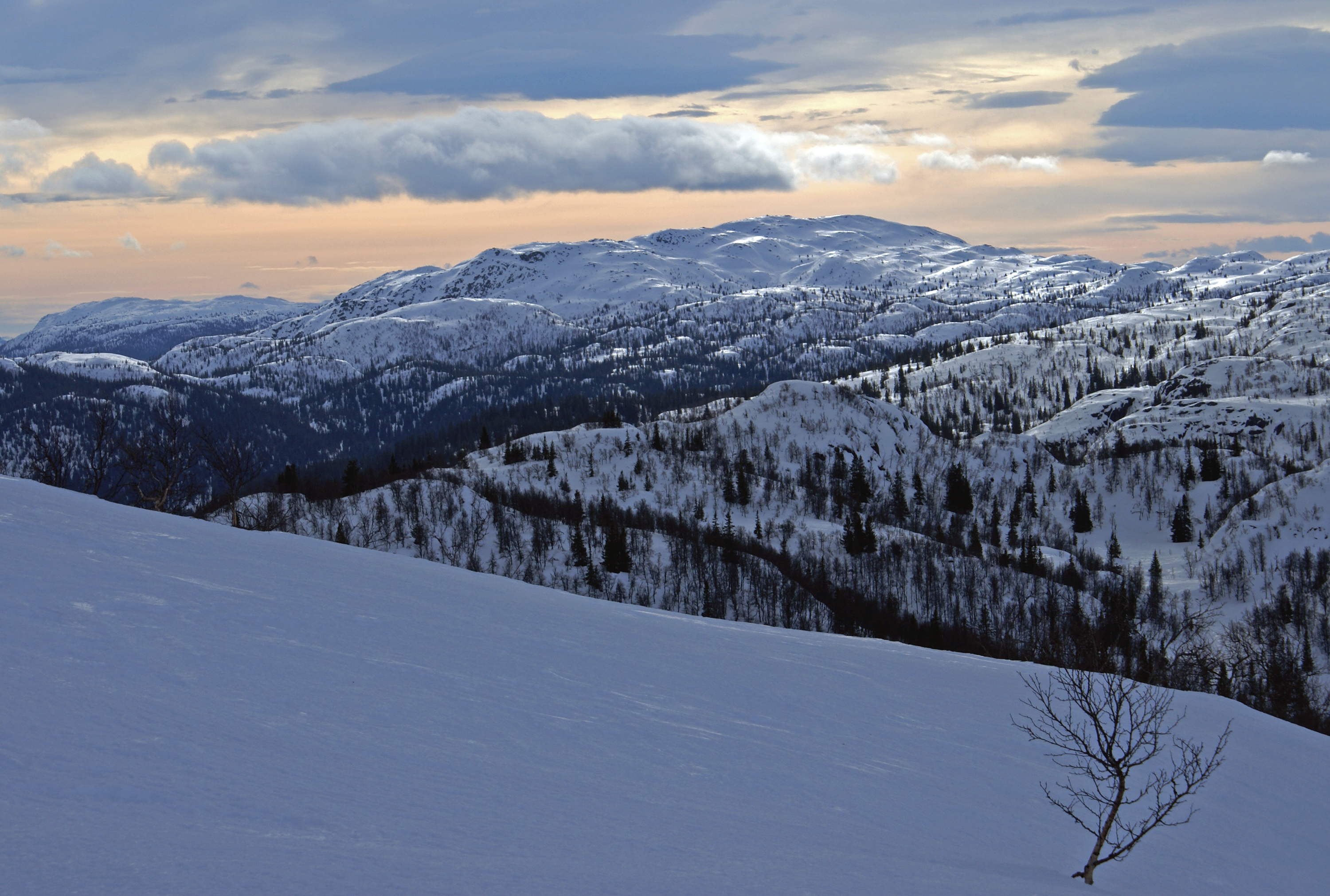 Mountain landscape (2313054658)