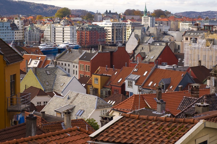 Bergen roofs