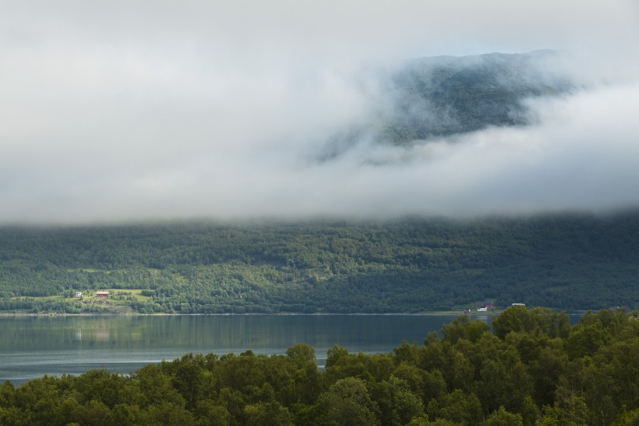 Cloud layer above Badderfjorden, Kvænangen, Troms, Norway, 2014 August