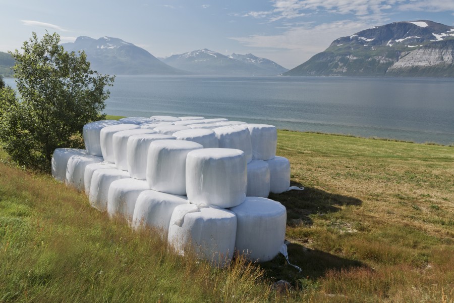 Round bales at Ullsfjorden, Lyngen, Troms, Norway, 2014 August