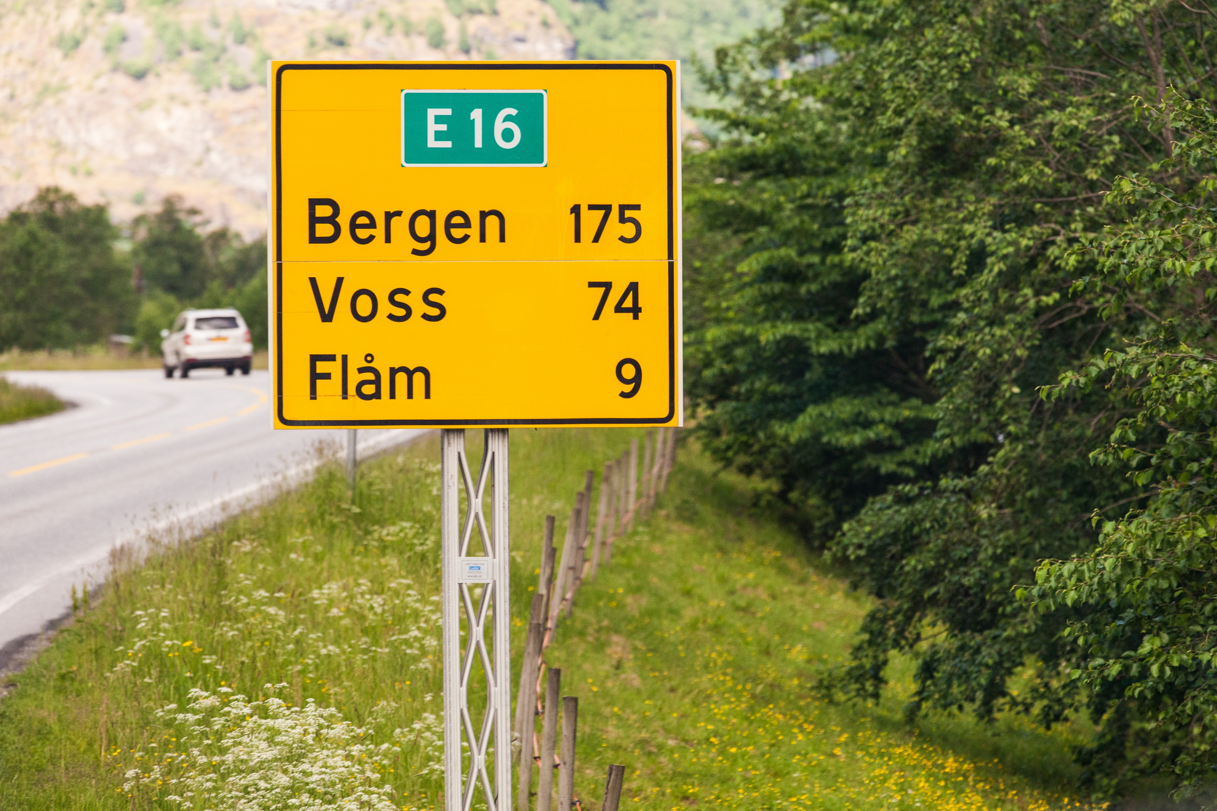 Norway, 175 km to Bergen, 74 km to Voss, 9 km to Flåm, June 2014, picture 11