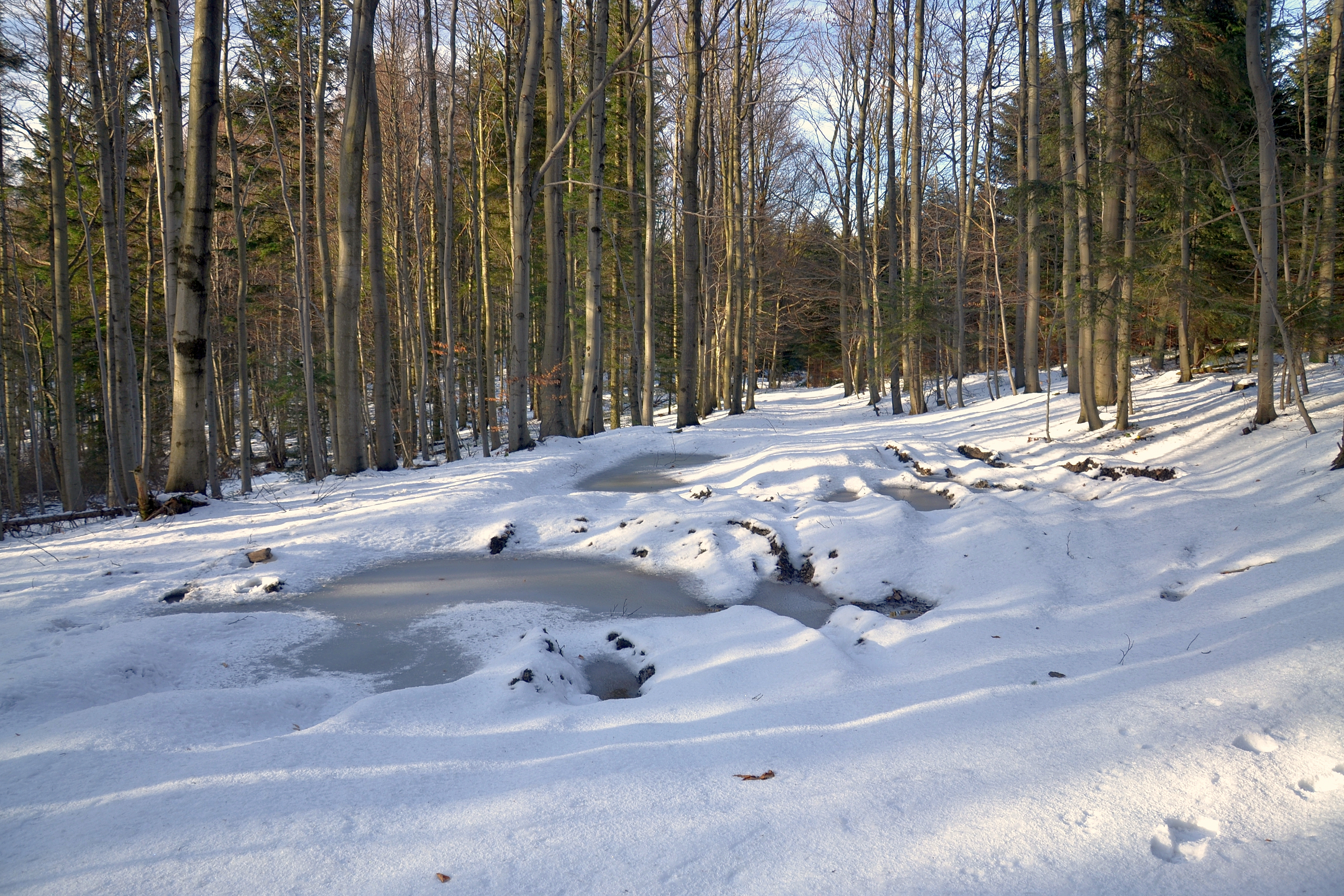 Beskid Wyspowy in March 2016