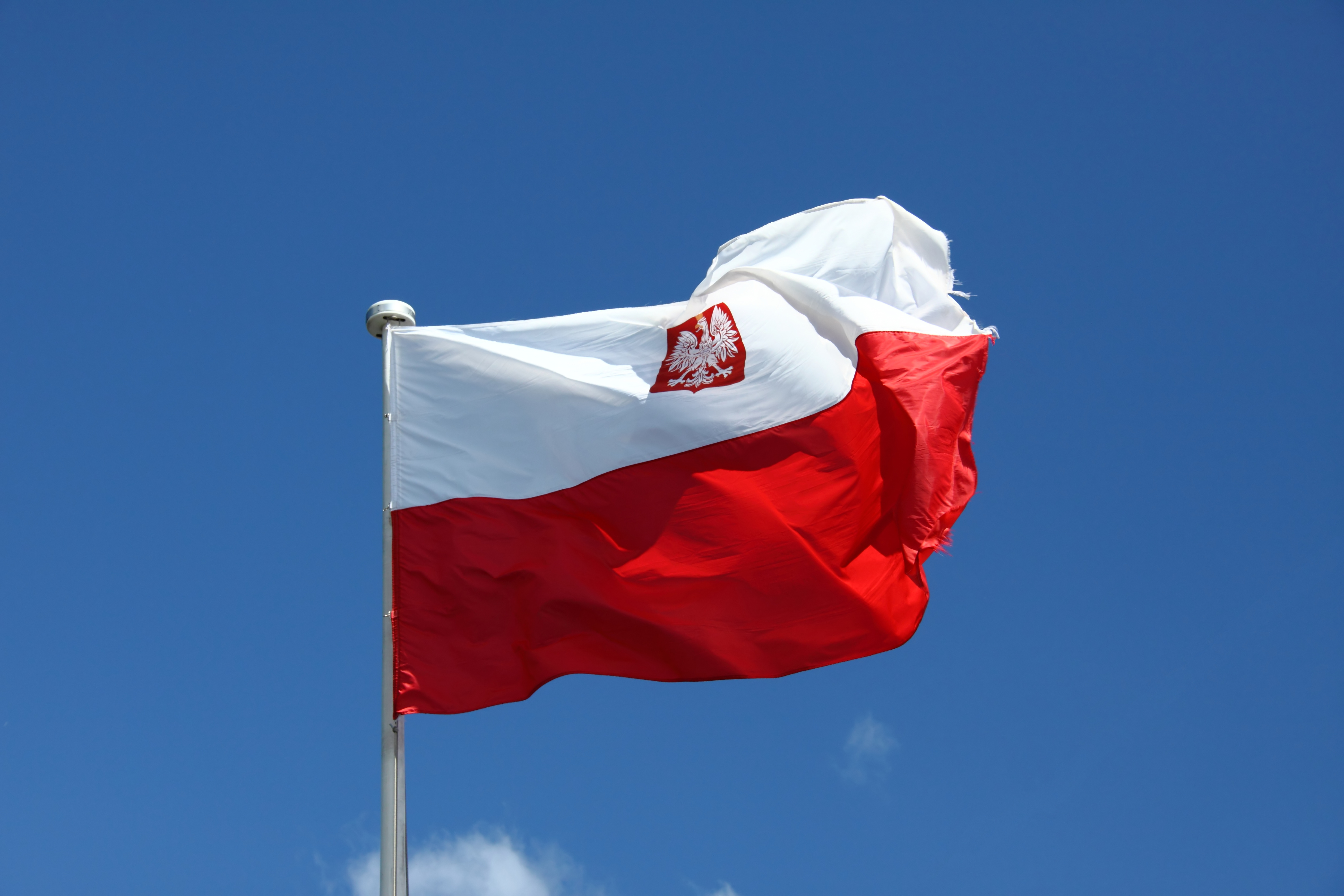 Polish Ensign