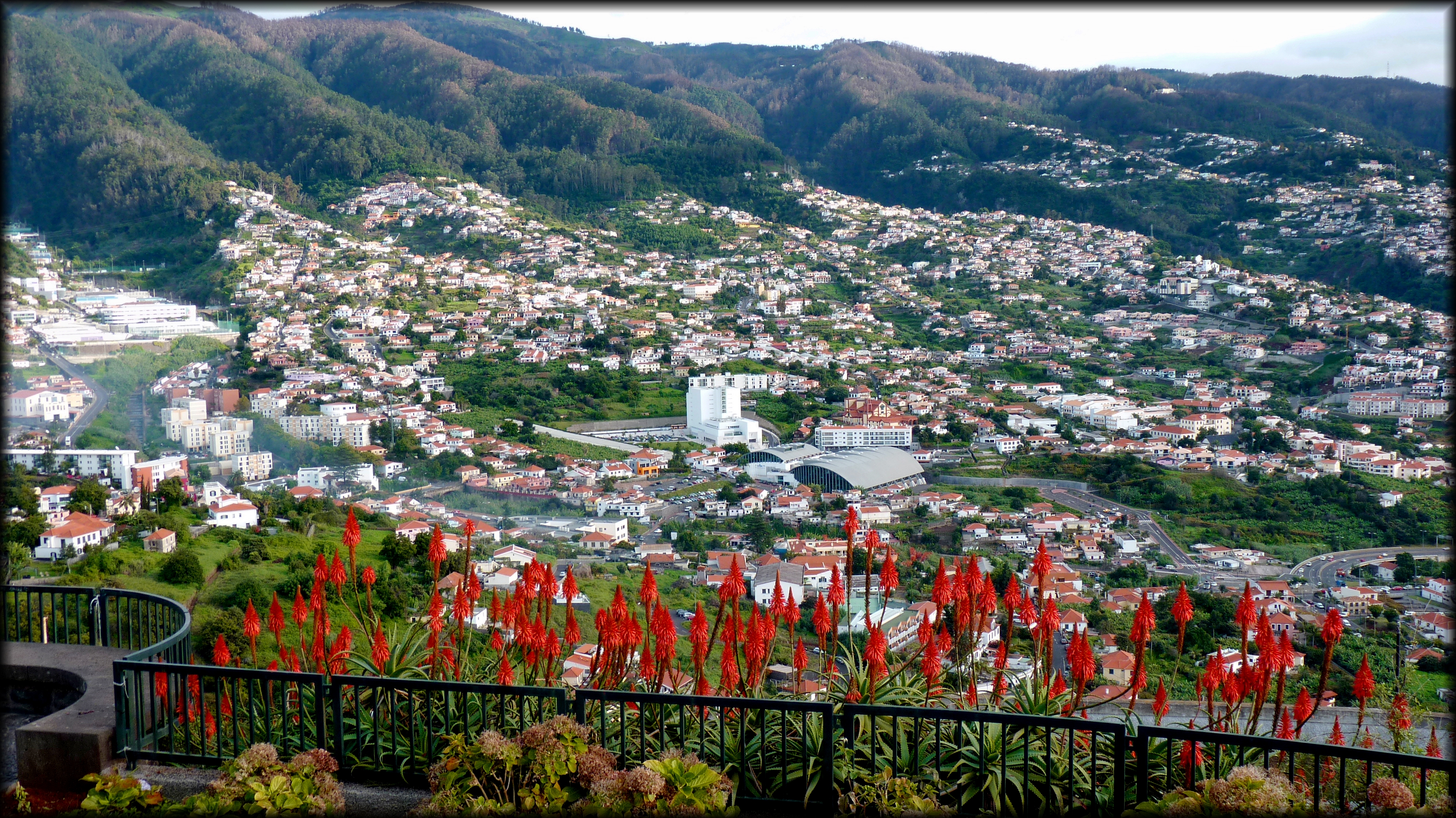 Pico dos Barcelos, Funchal - 2010-12-02 - 47921681
