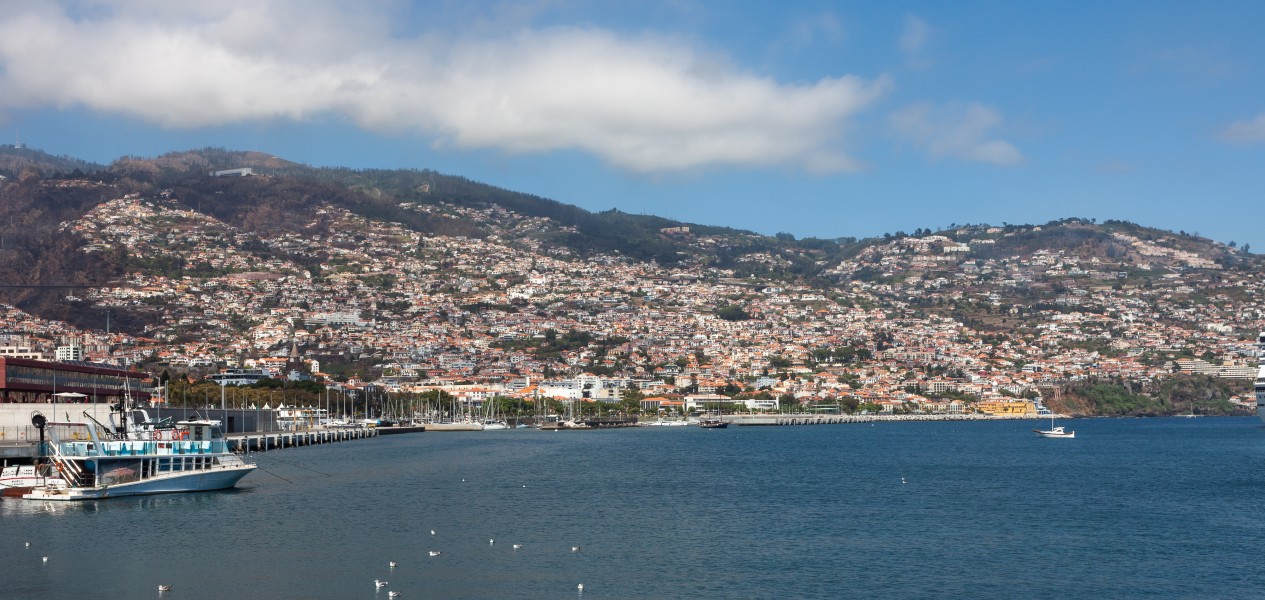 2016 Funchal. Madeira Portugal-15