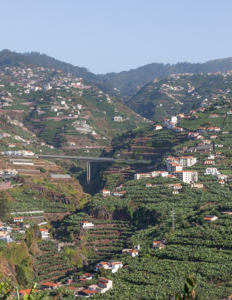 Construción e agricultura en bancais. Funchal. Madeira -120