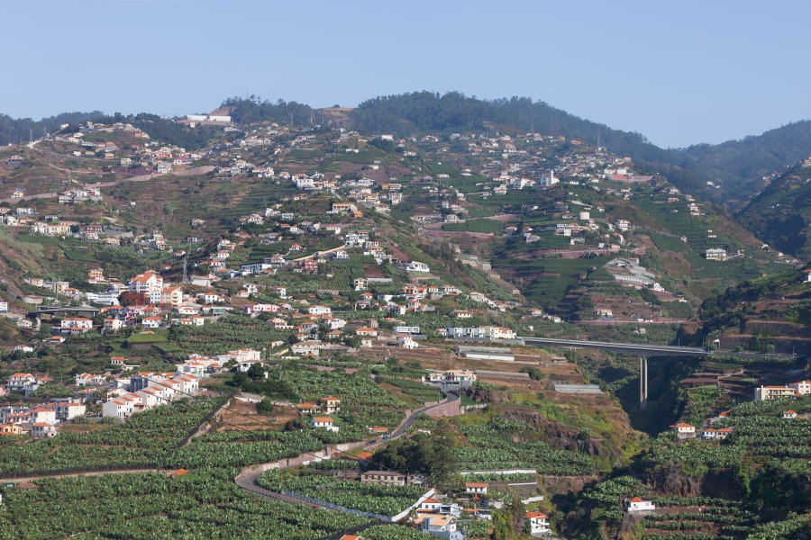 Construción e agricultura en bancais. Funchal. Madeira -121