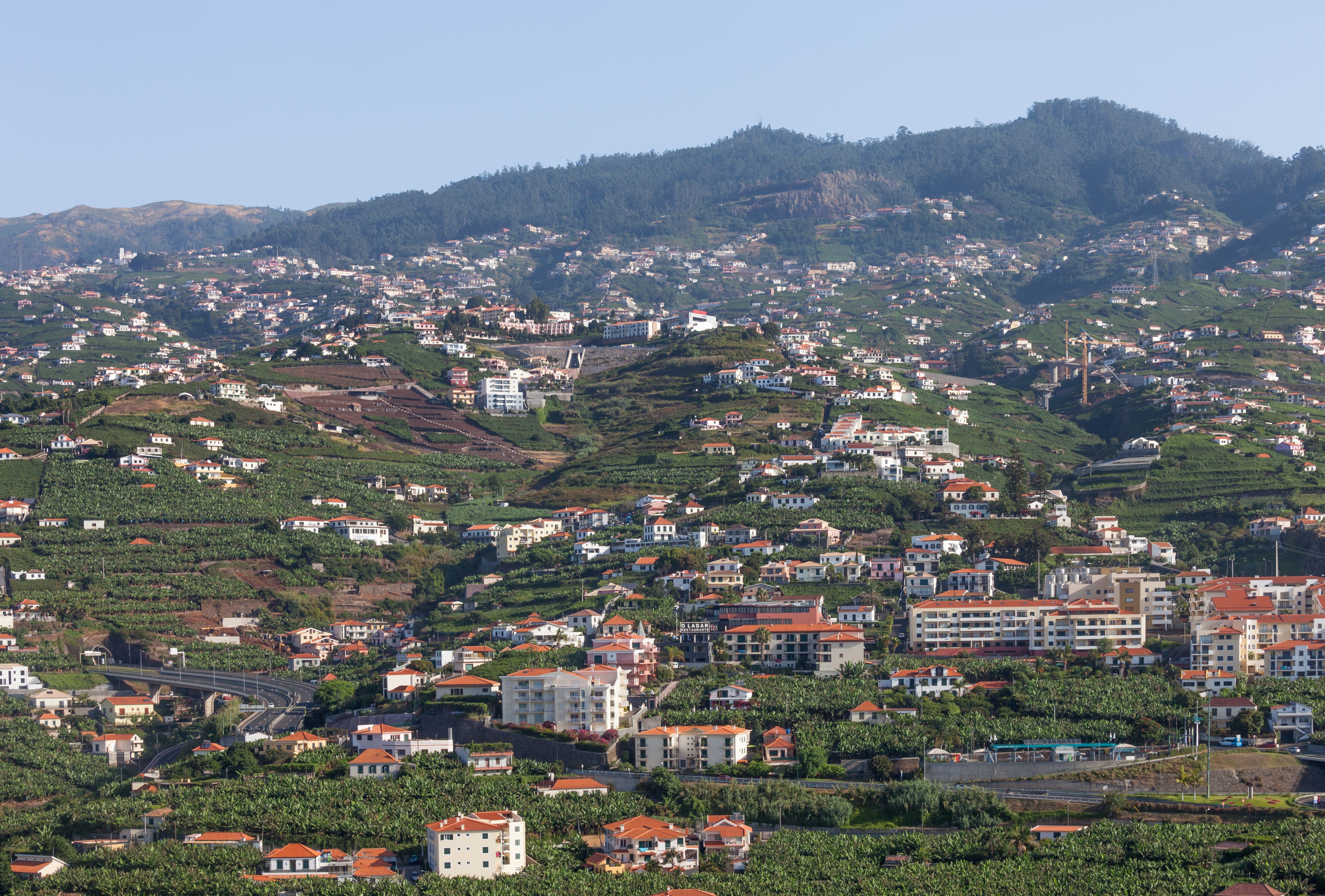 Construción e agricultura en bancais. Funchal. Madeira -118