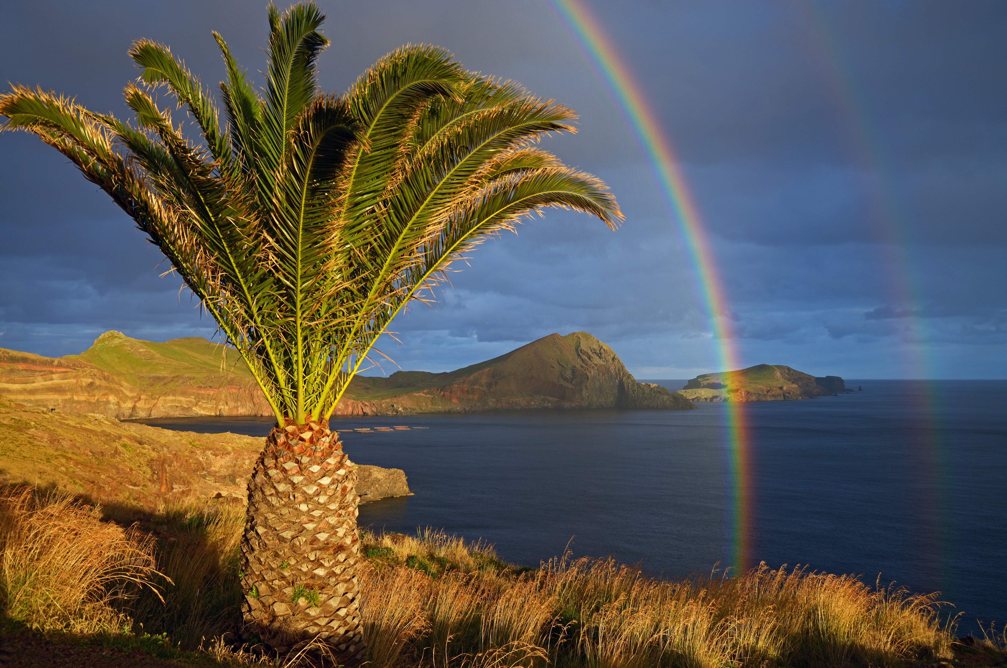 São Lourenço The palm tree and rainbows. Madeira, Portugal
